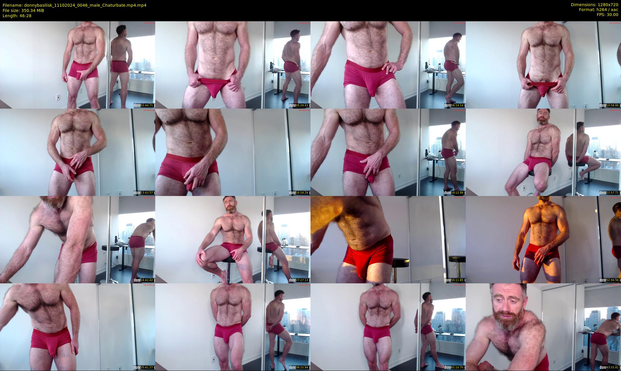 donnybasilisk — 47 minute Chaturbate male cam show recording, 720p, Oct 11, 2024