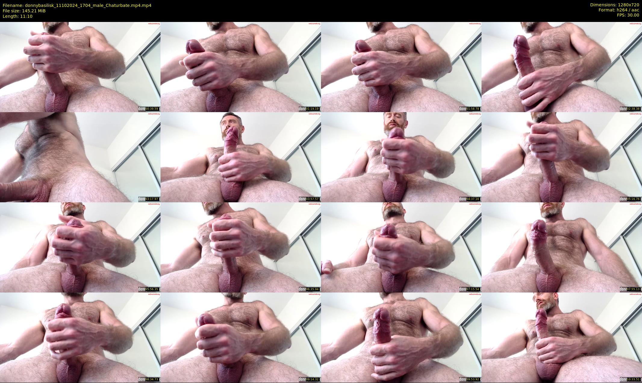 donnybasilisk — 12 minute Chaturbate male cam show recording, 720p, Oct 11, 2024