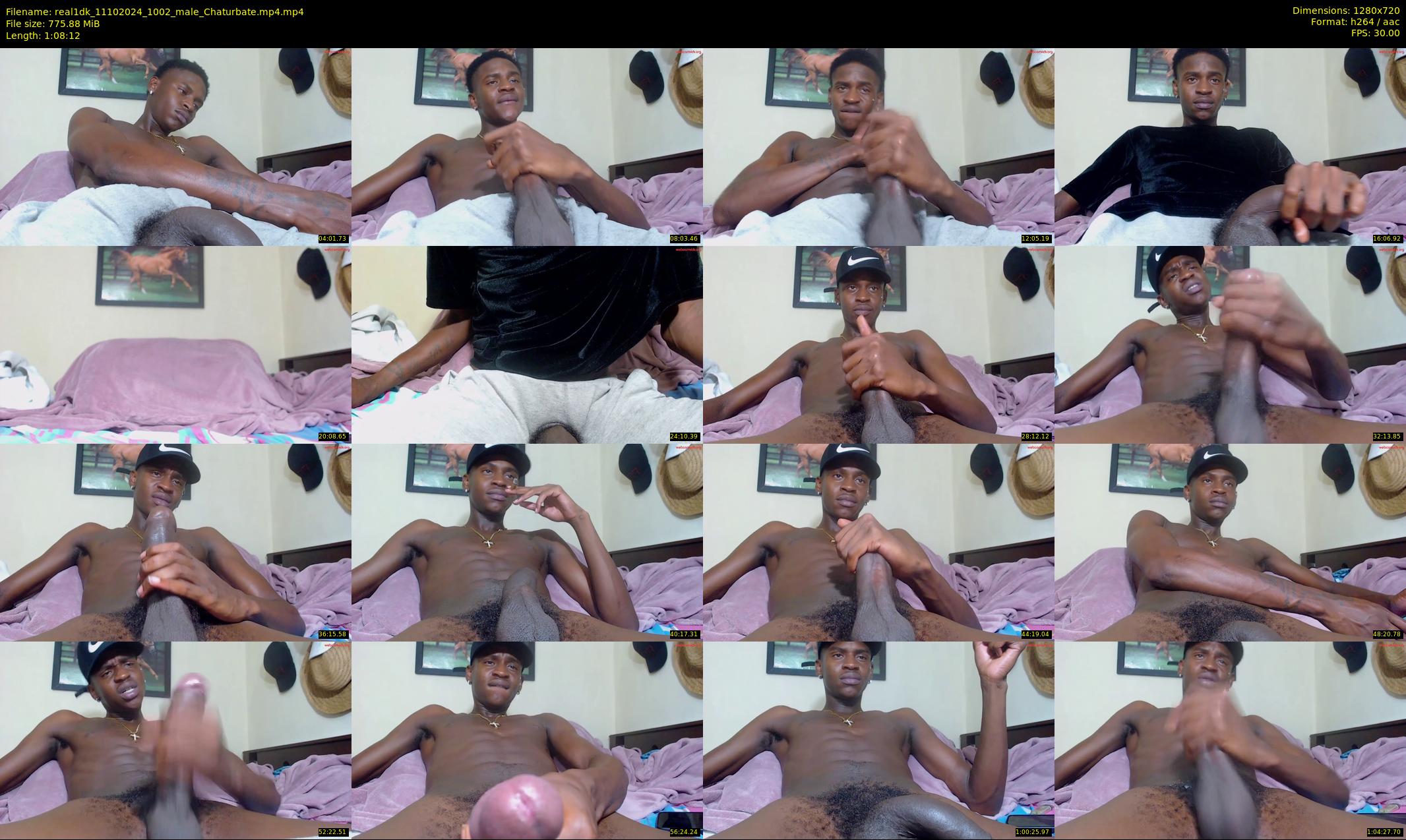 real1dk — 69 minute Chaturbate male cam show recording, 720p, Oct 11, 2024