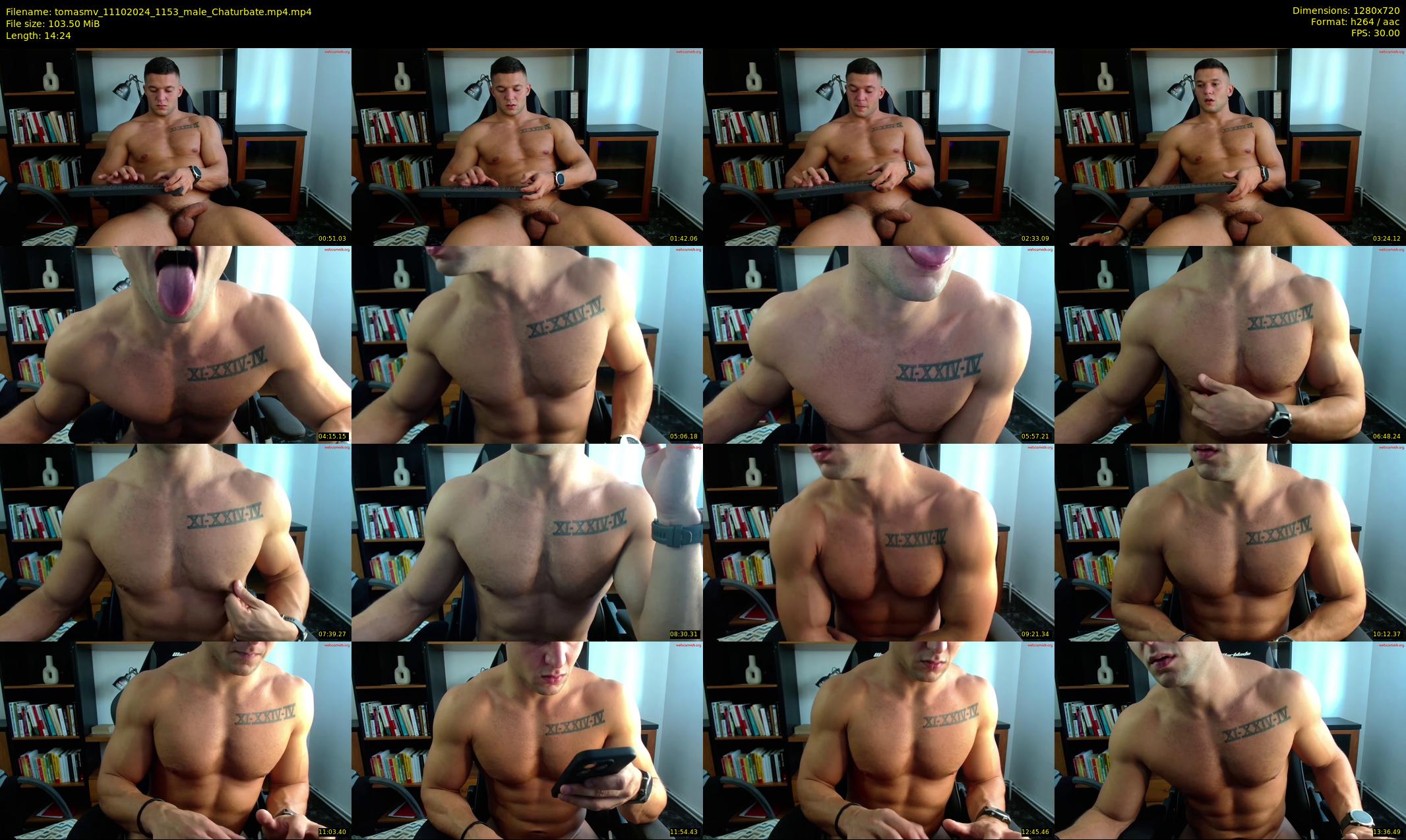 tomasmv — 15 minute Chaturbate male cam show recording, 720p, Oct 11, 2024