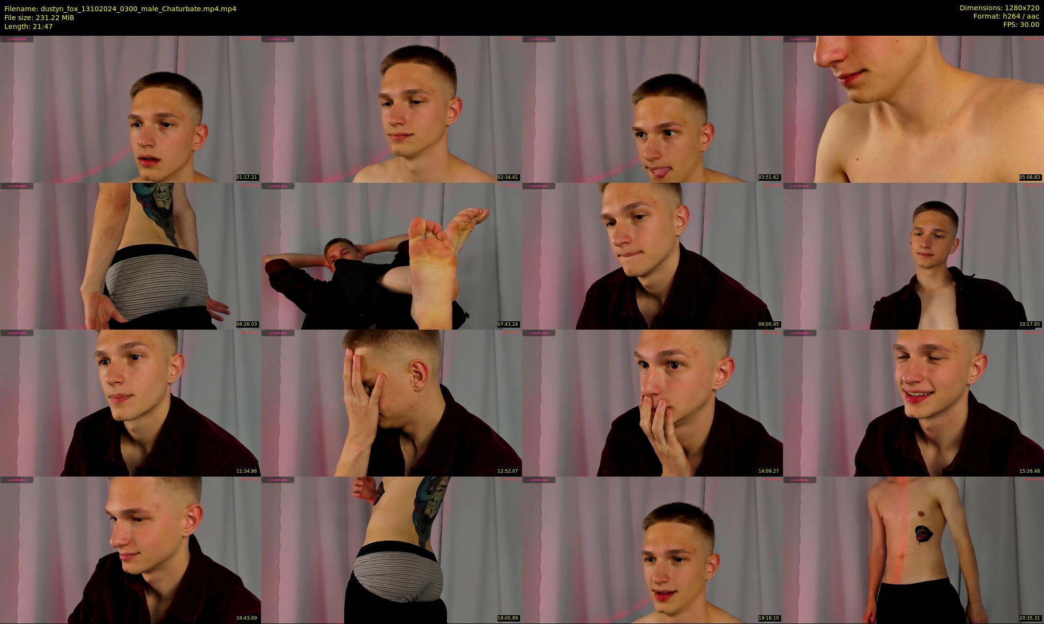 dustyn_fox — 22 minute Chaturbate male cam show recording, 720p, Oct 13, 2024