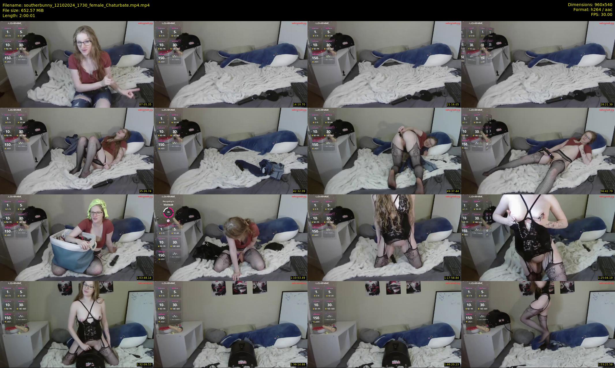 southerbunny — 121 minute Chaturbate female cam show recording, 480p, Oct 12, 2024