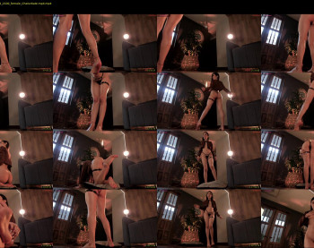 amyarmstrong — 120 minute Chaturbate female cam show recording, 720p, Oct 13, 2024