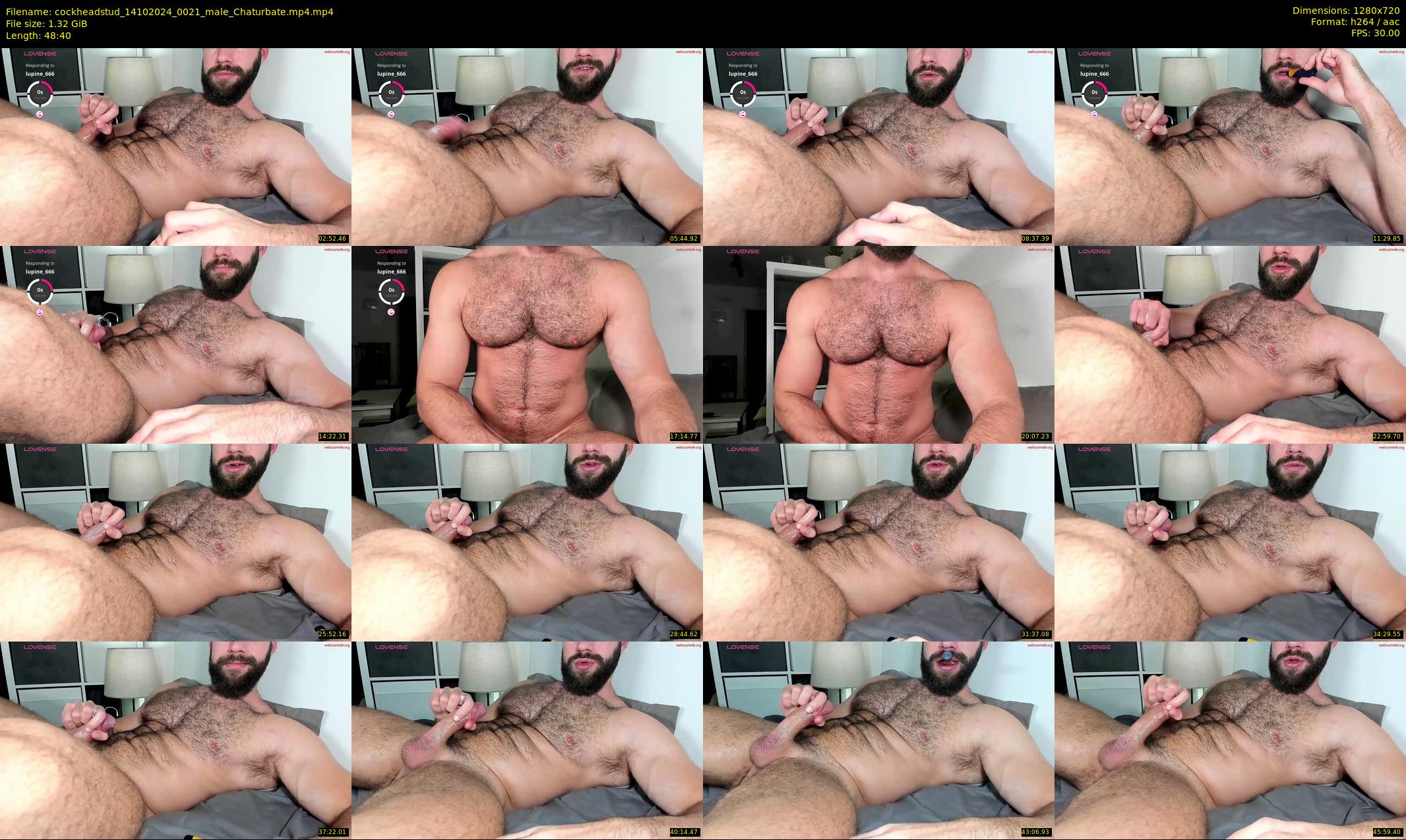 cockheadstud — 49 minute Chaturbate male cam show recording, 720p, Oct 14, 2024