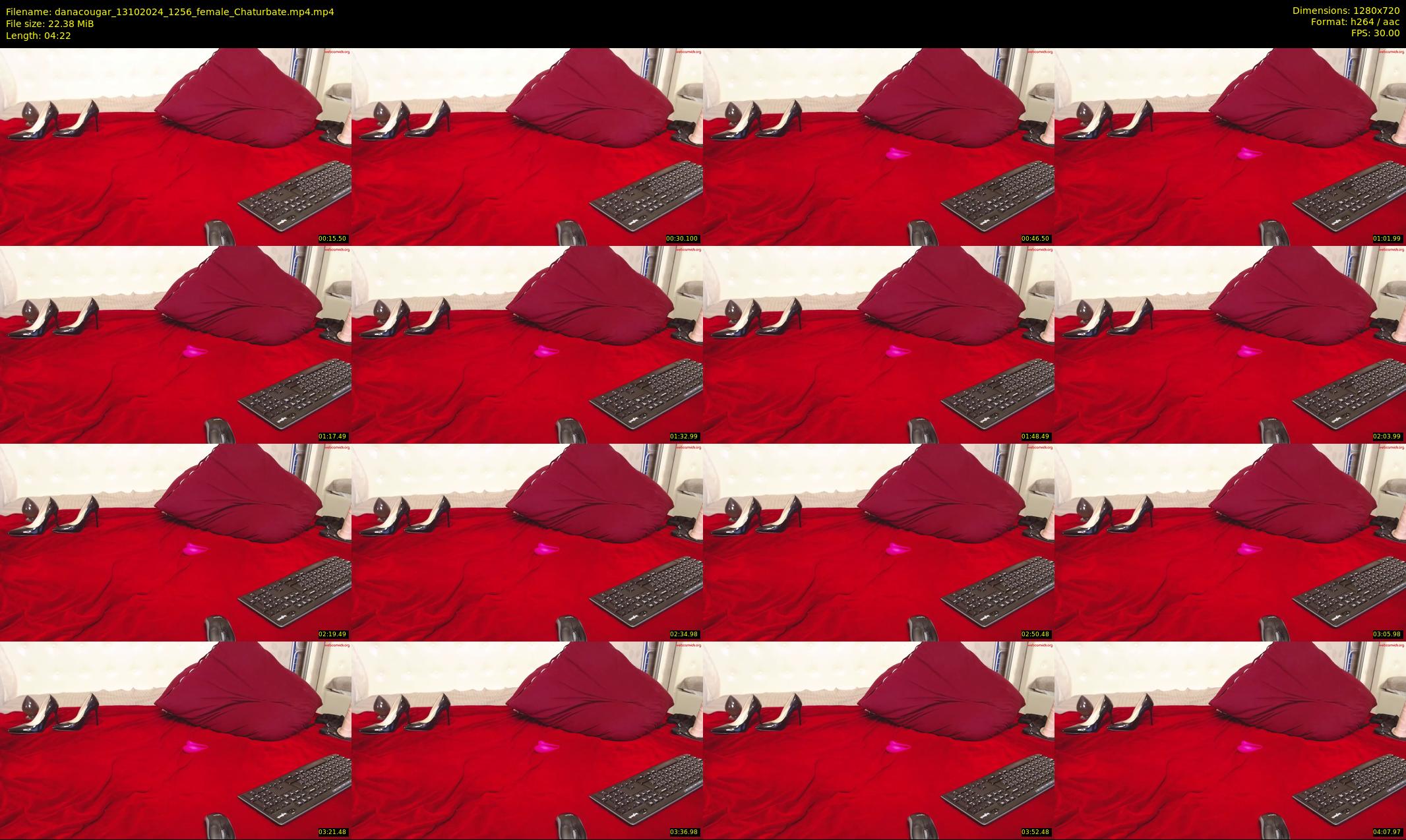 danacougar — 5 minute Chaturbate female cam show recording, 720p, Oct 13, 2024