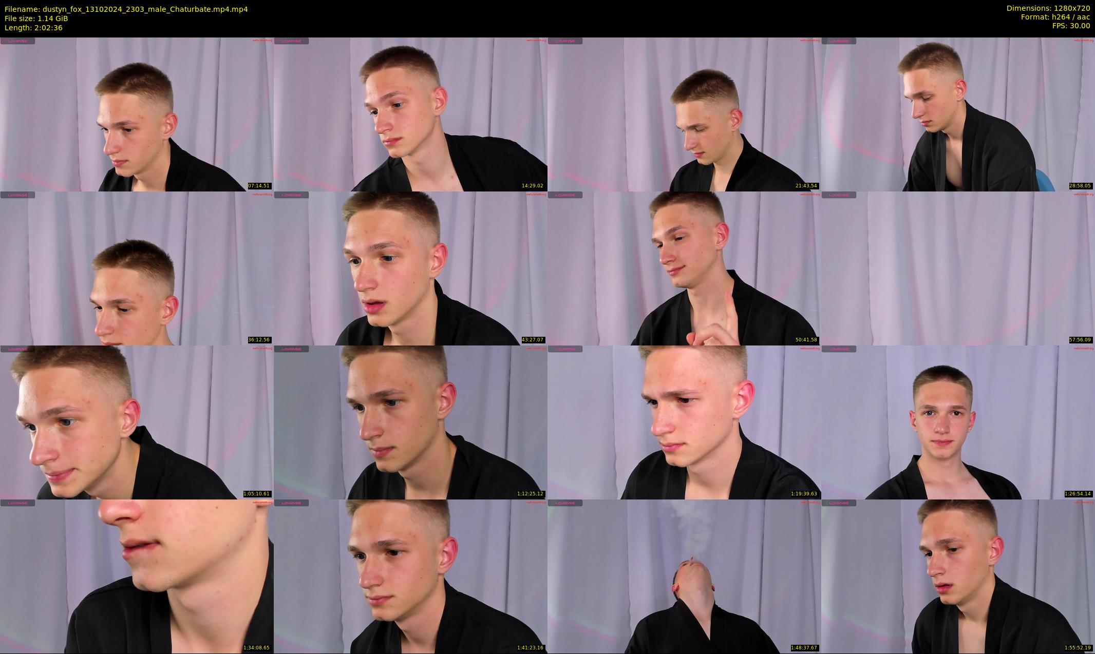 dustyn_fox — 123 minute Chaturbate male cam show recording, 720p, Oct 13, 2024