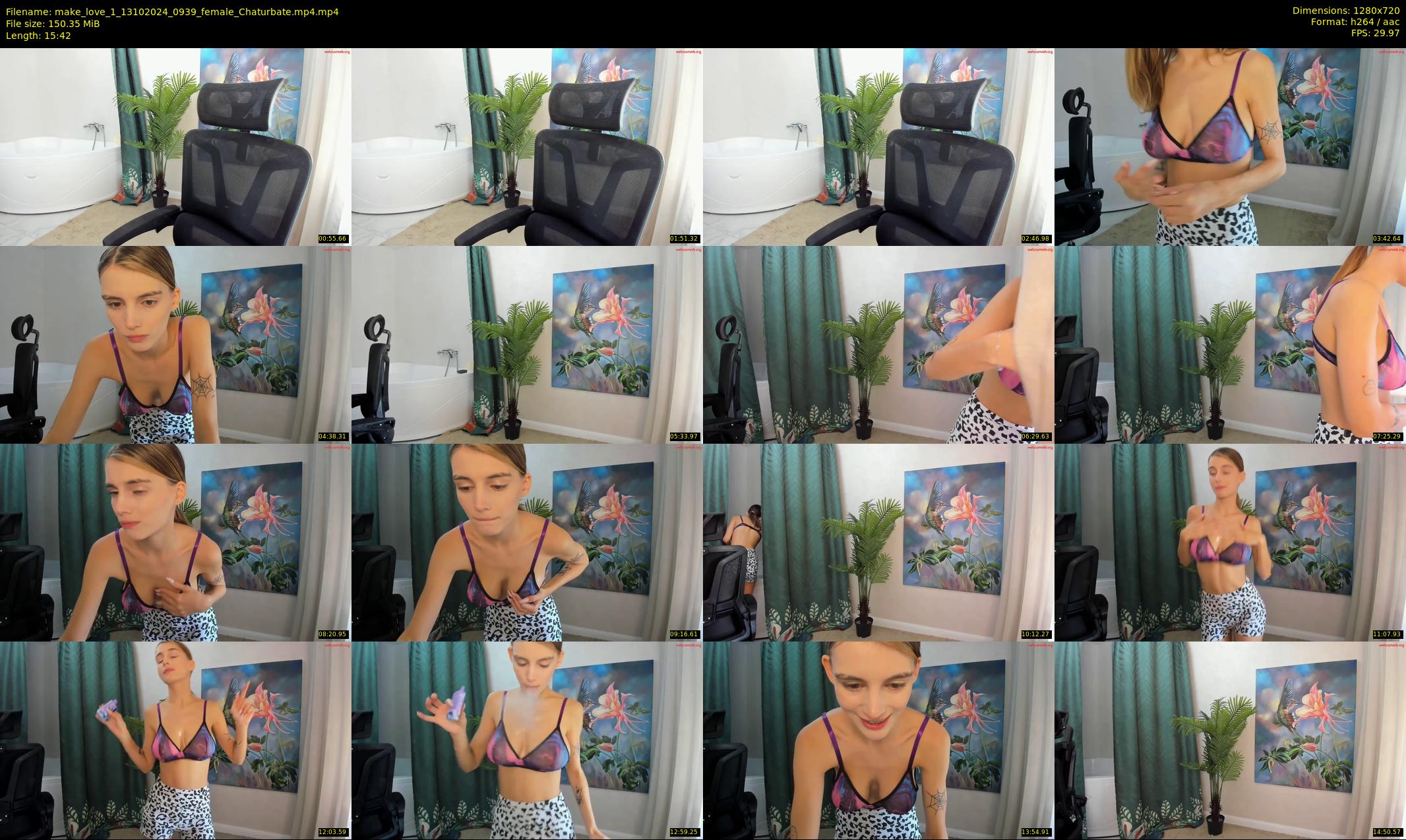 make_love_1 — 16 minute Chaturbate female cam show recording, 720p, Oct 13, 2024