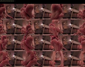 amyarmstrong — 30 minute Chaturbate female cam show recording, 720p, Oct 15, 2024