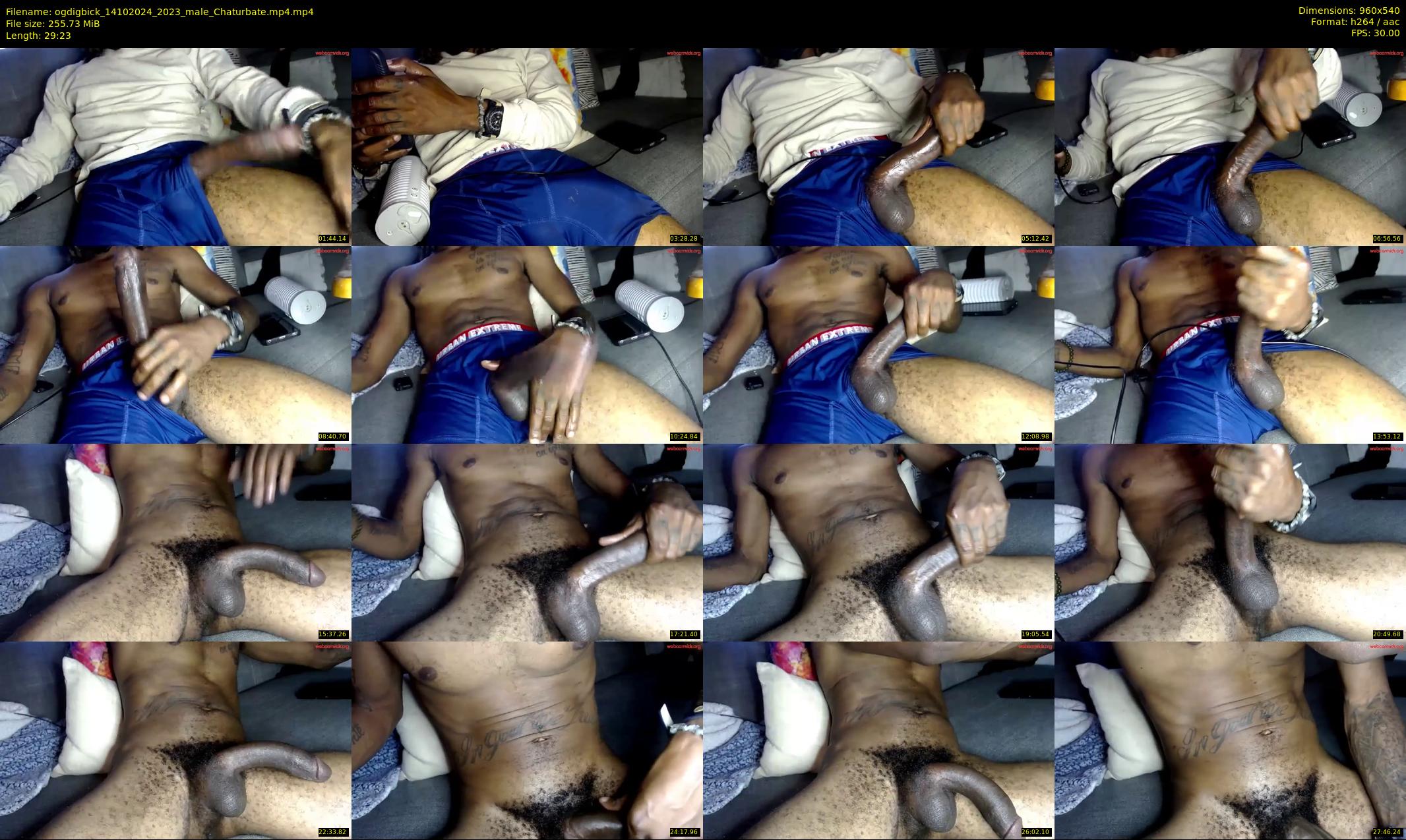 ogdigbick — 30 minute Chaturbate male cam show recording, 480p, Oct 14, 2024
