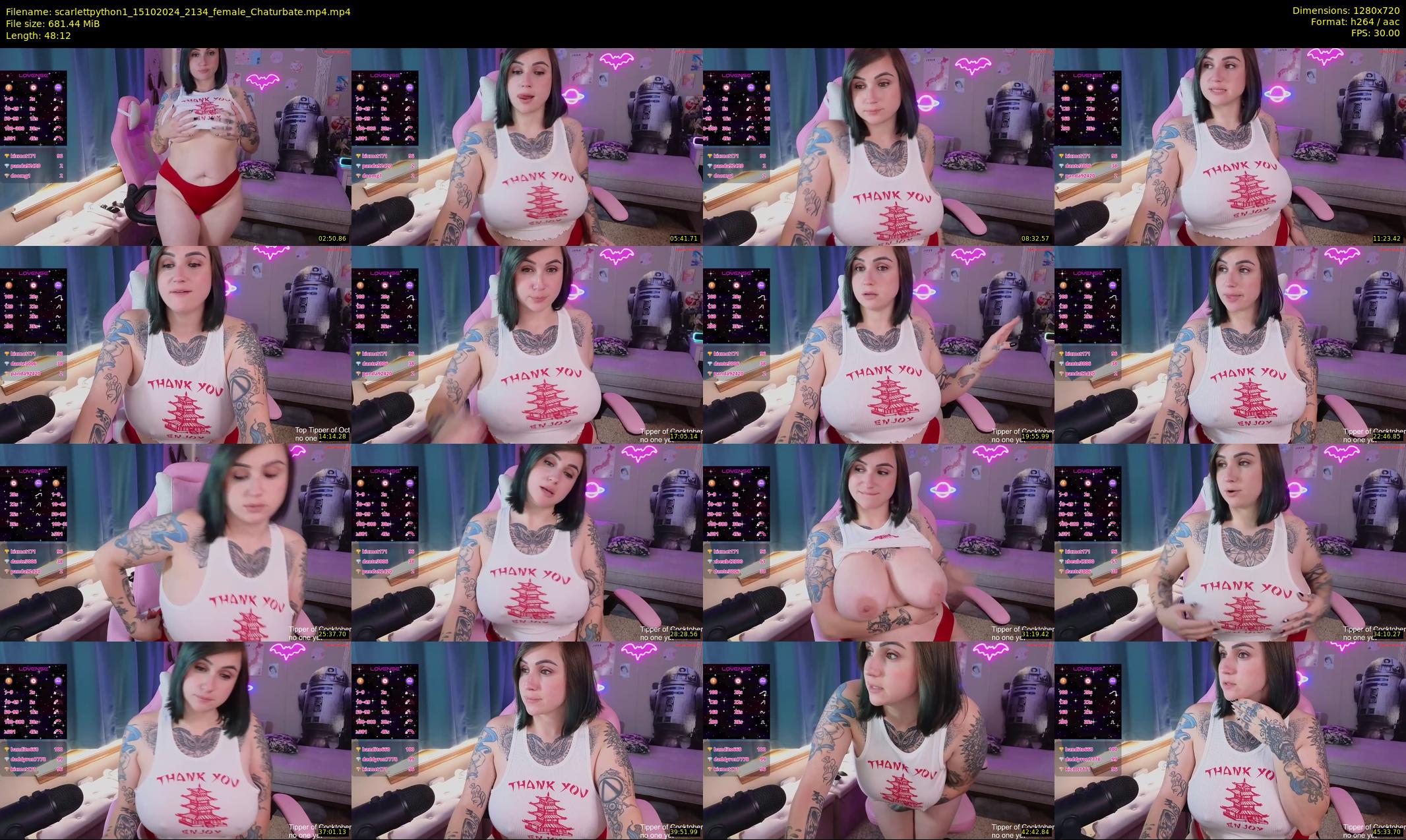 scarlettpython1 — 49 minute Chaturbate female cam show recording, 720p, Oct 15, 2024