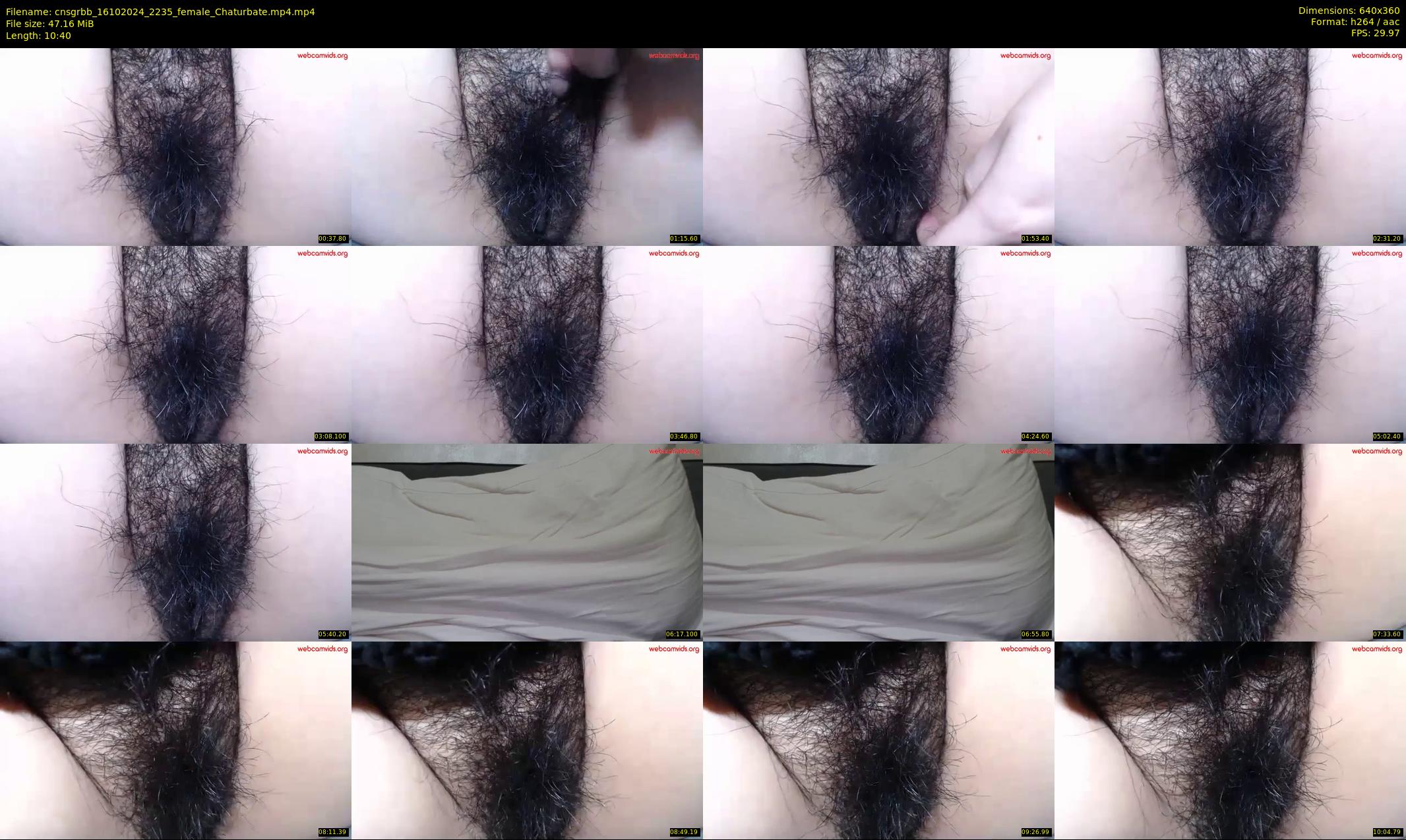 cnsgrbb — 11 minute Chaturbate female cam show recording, 360p, Oct 16, 2024