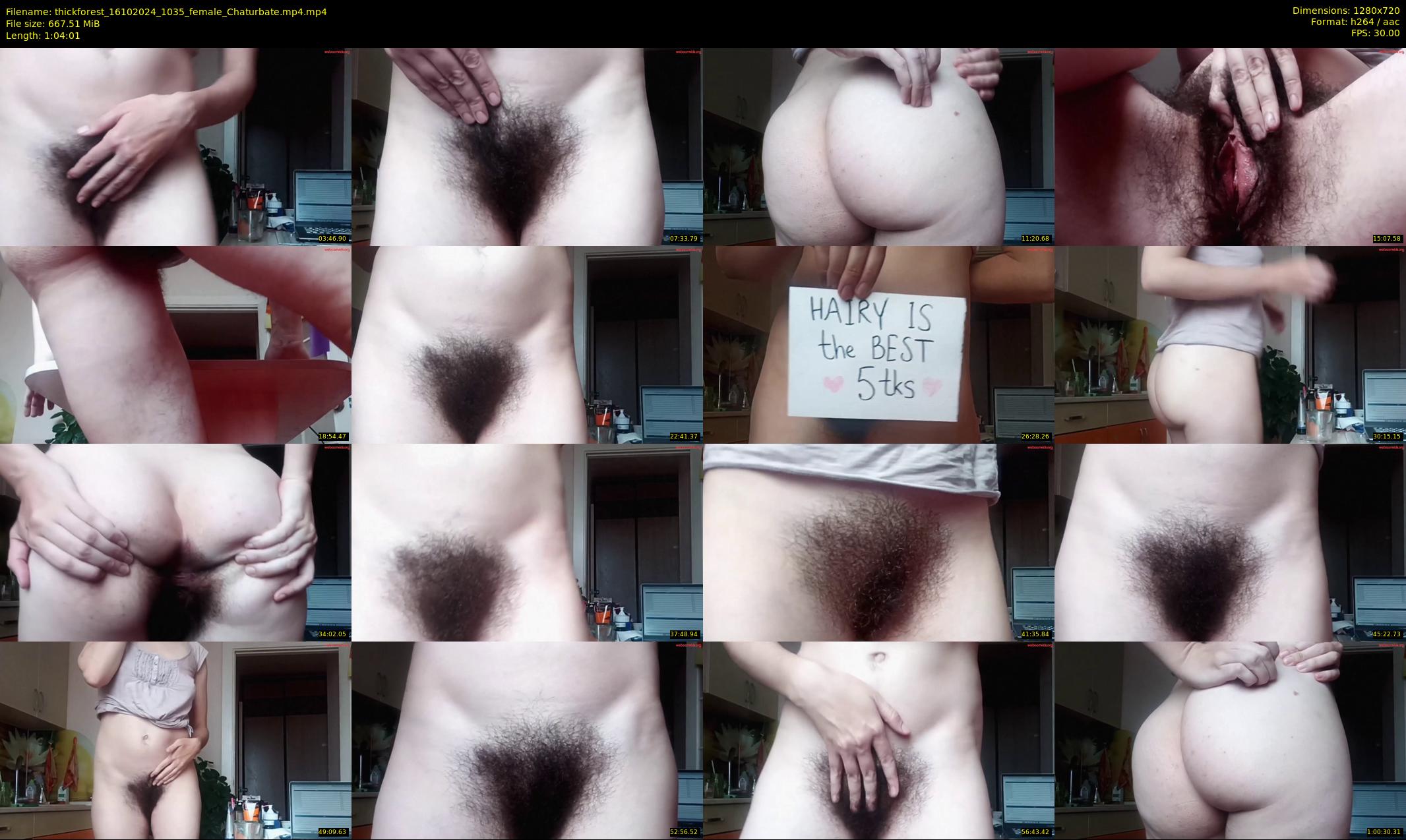 thickforest — 65 minute Chaturbate female cam show recording, 720p, Oct 16, 2024