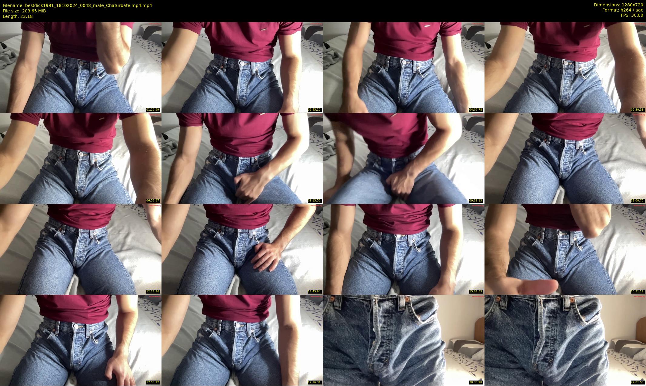 bestdick1991 — 24 minute Chaturbate male cam show recording, 720p, Oct 18, 2024