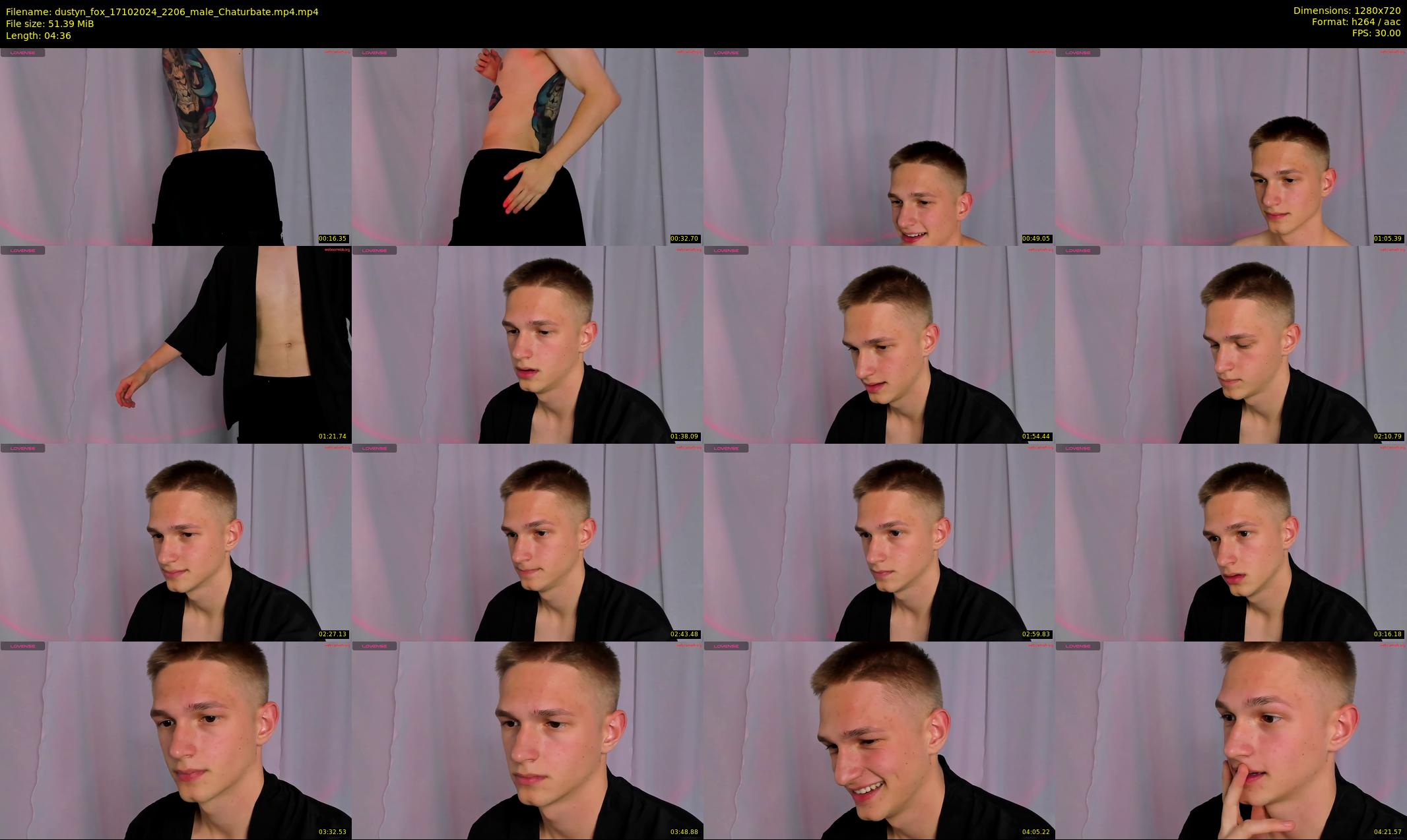 dustyn_fox — 5 minute Chaturbate male cam show recording, 720p, Oct 17, 2024
