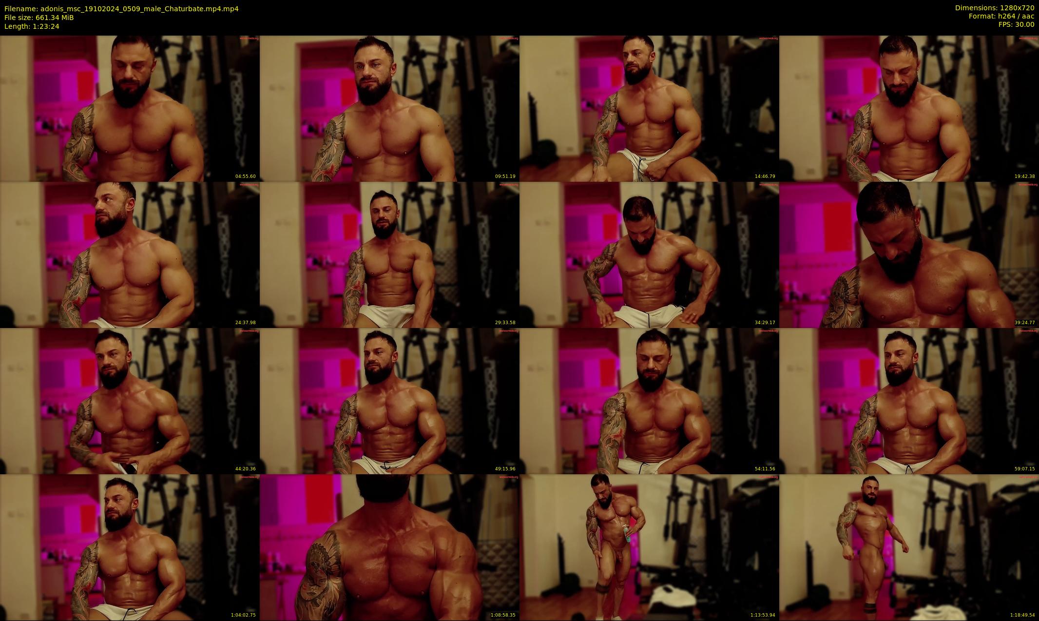 adonis_msc — 84 minute Chaturbate male cam show recording, 720p, Oct 19, 2024