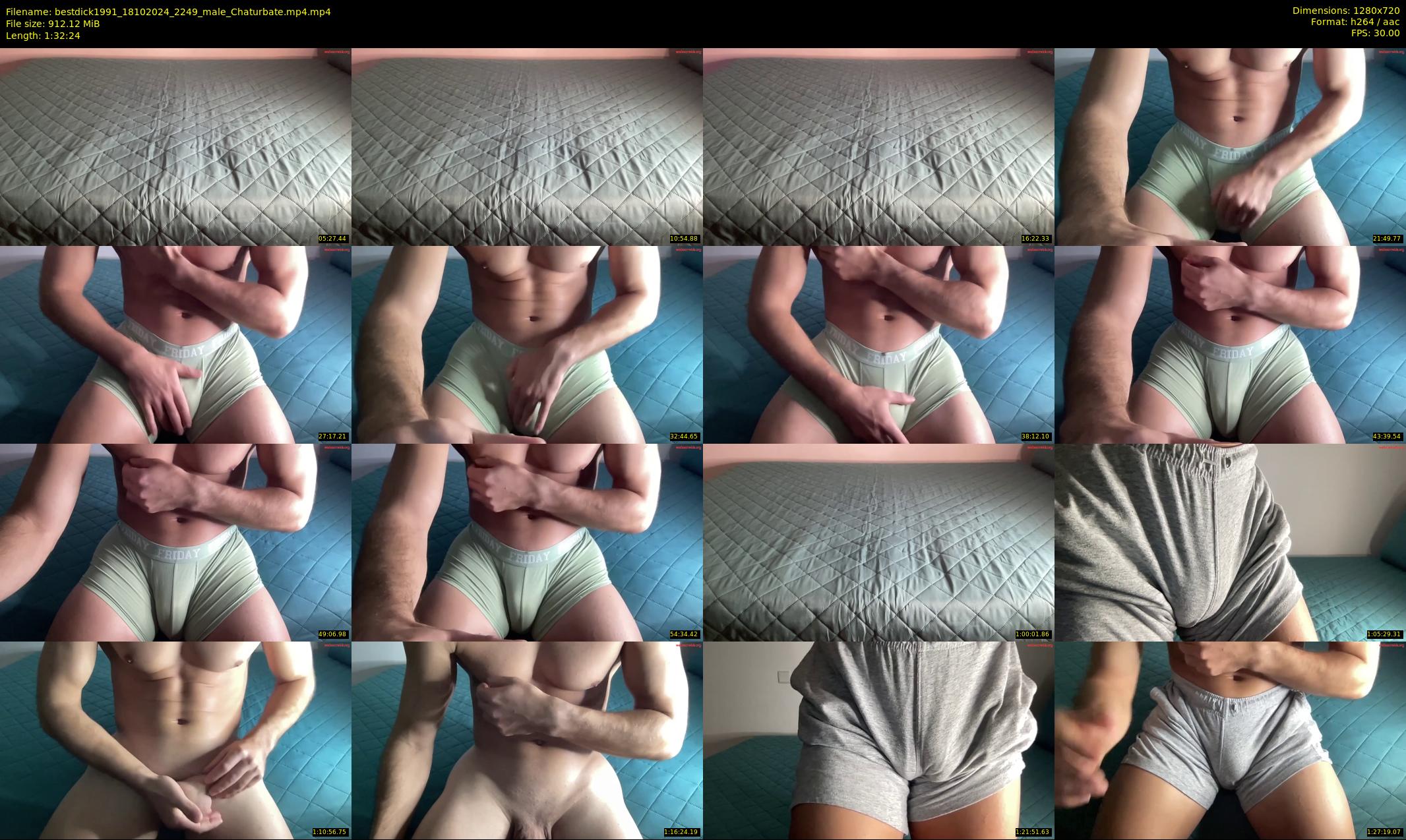 bestdick1991 — 93 minute Chaturbate male cam show recording, 720p, Oct 18, 2024