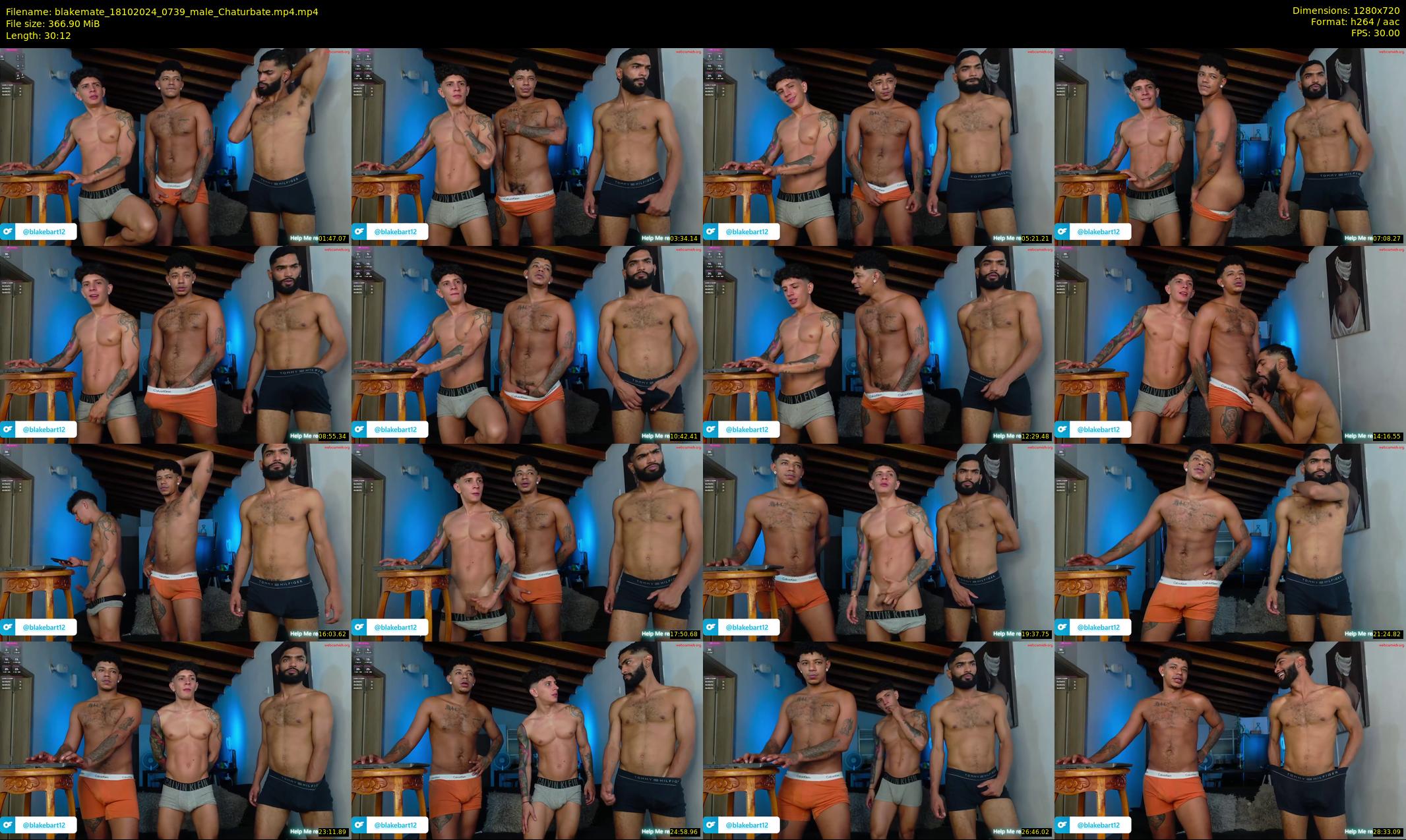 blakemate — 31 minute Chaturbate male cam show recording, 720p, Oct 18, 2024