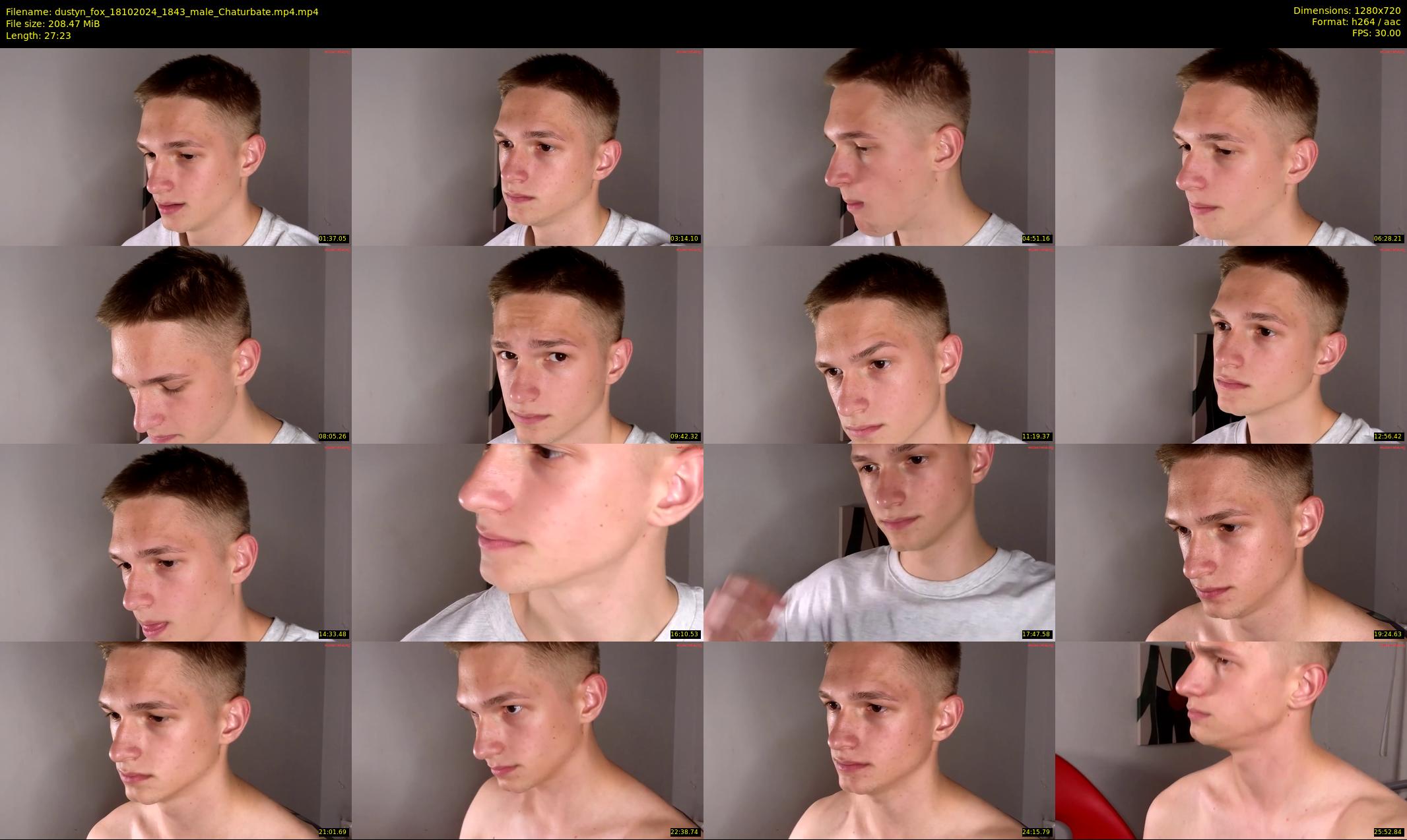 dustyn_fox — 28 minute Chaturbate male cam show recording, 720p, Oct 18, 2024