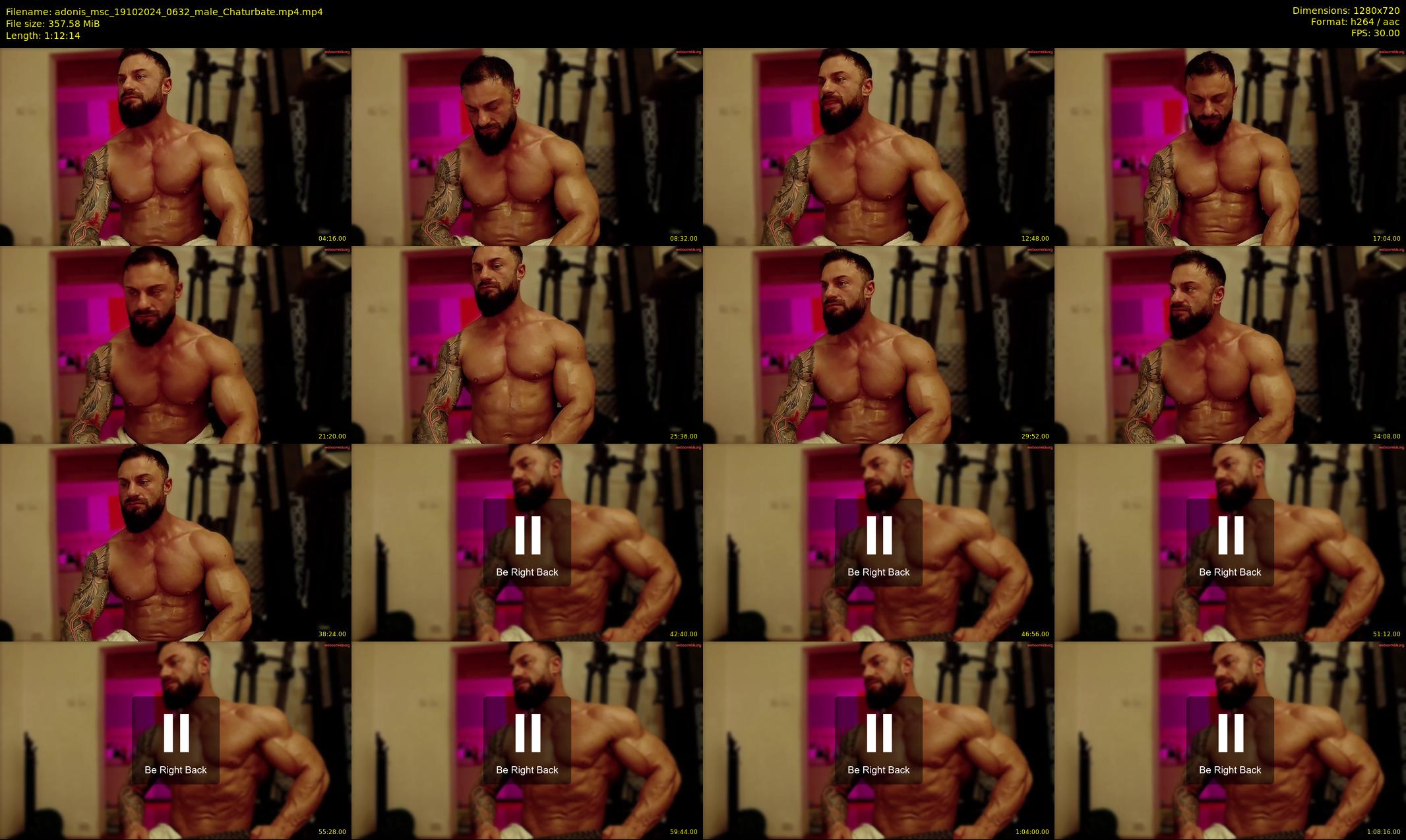 adonis_msc — 73 minute Chaturbate male cam show recording, 720p, Oct 19, 2024