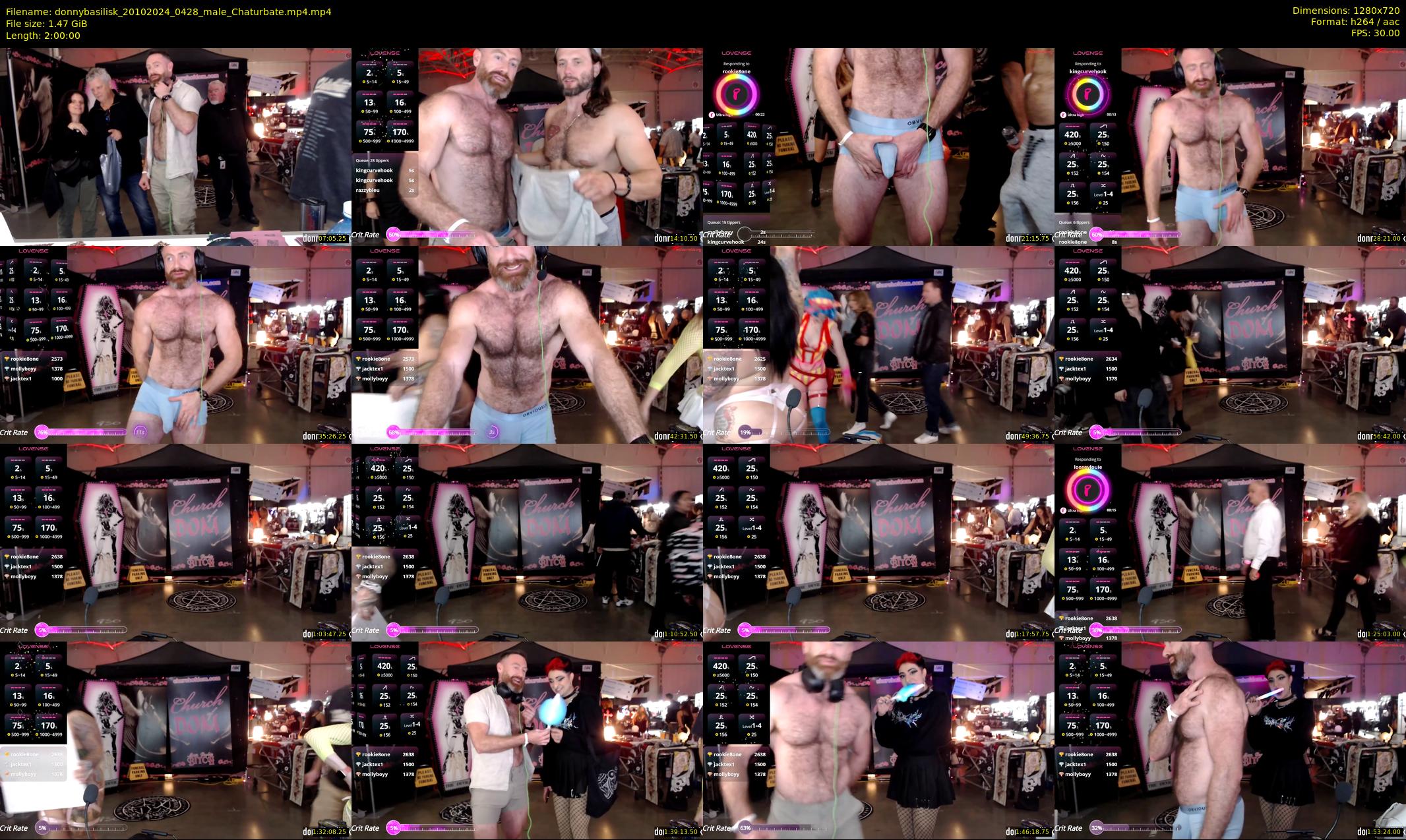 donnybasilisk — 120 minute Chaturbate male cam show recording, 720p, Oct 20, 2024