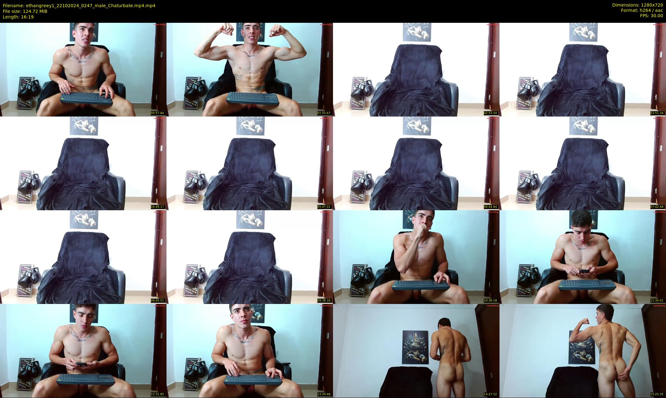 ethangreey1 — 17 minute Chaturbate male cam show recording, 720p, Oct 22, 2024