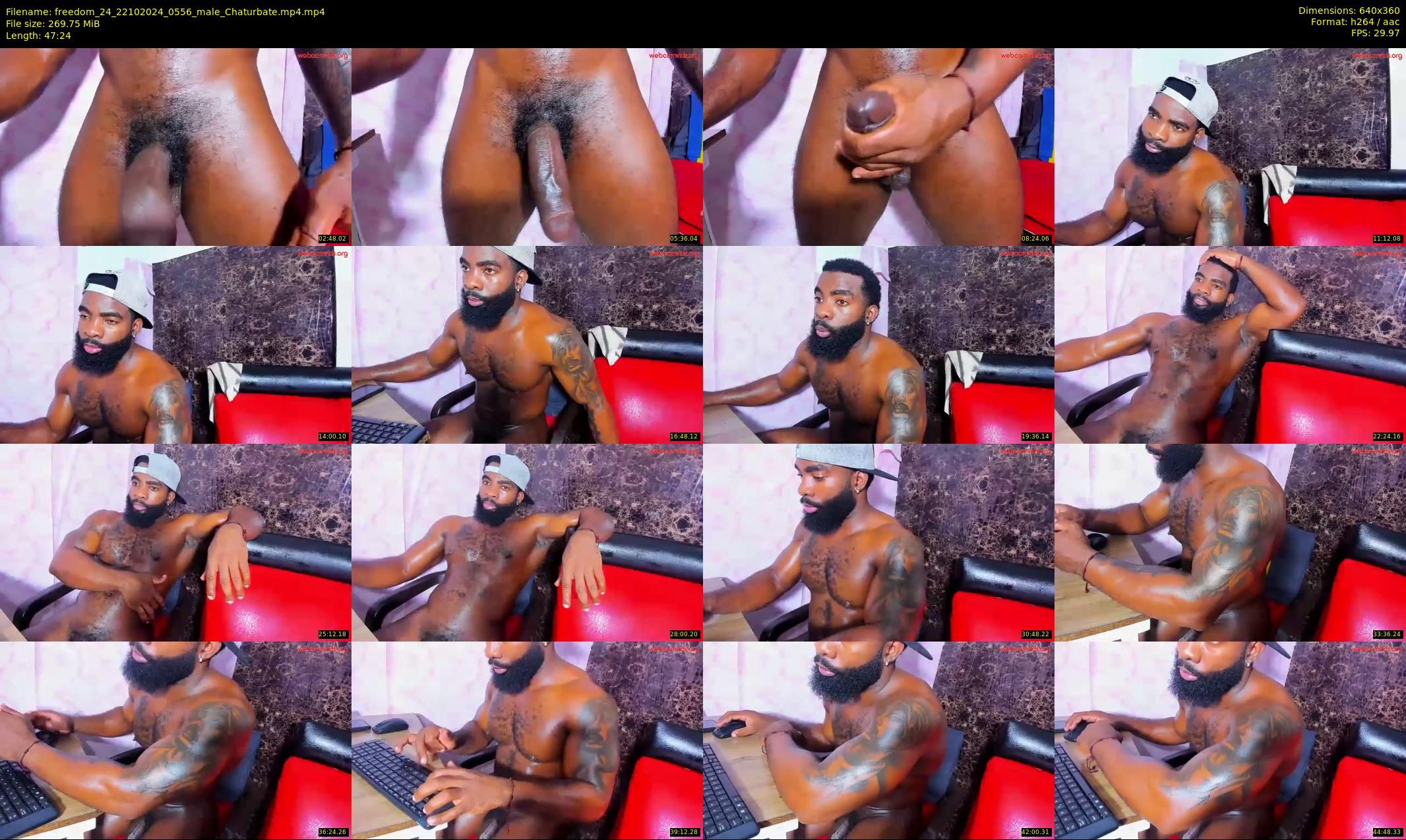 freedom_24 — 48 minute Chaturbate male cam show recording, 360p, Oct 22, 2024