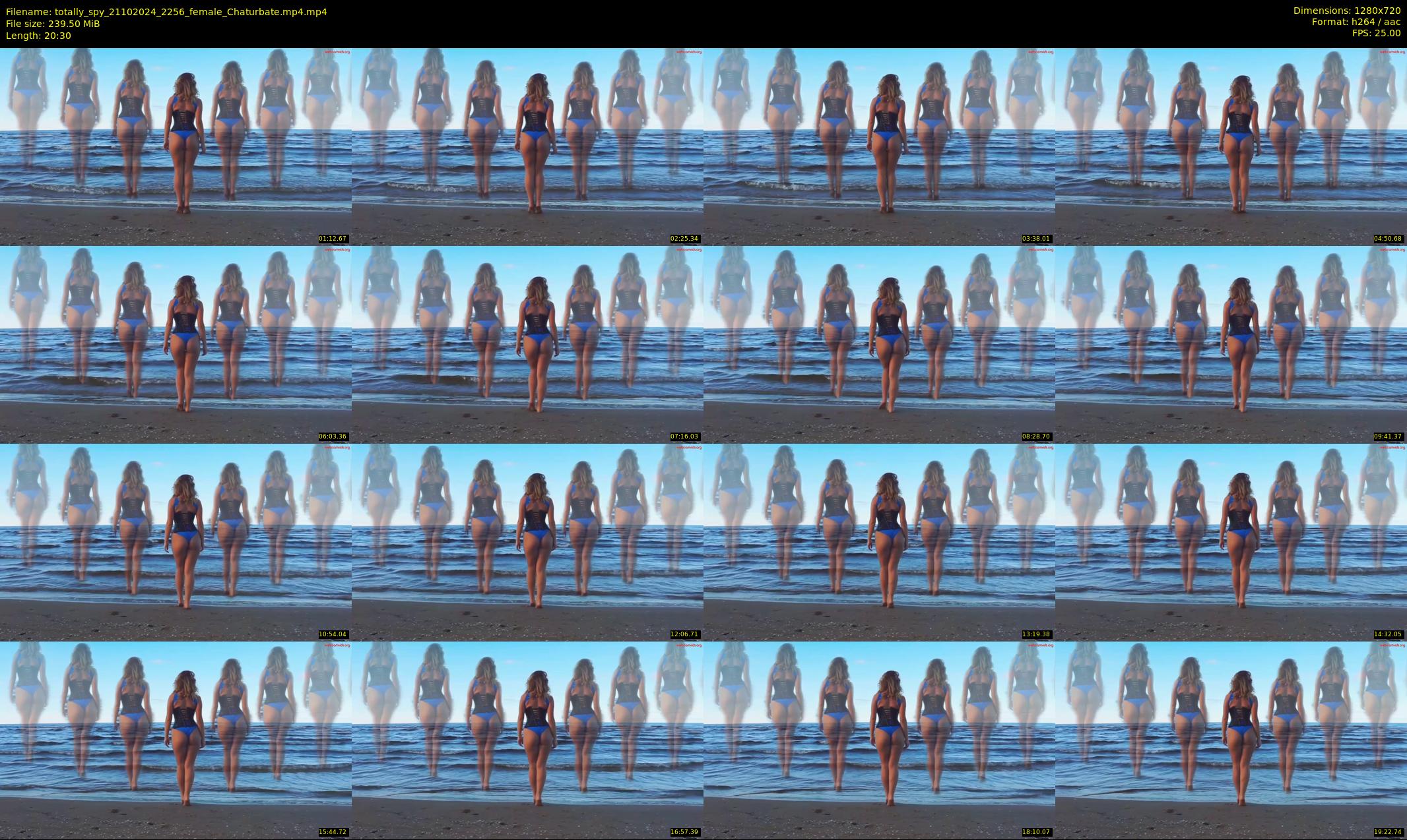 totally_spy — 21 minute Chaturbate female cam show recording, 720p, Oct 21, 2024