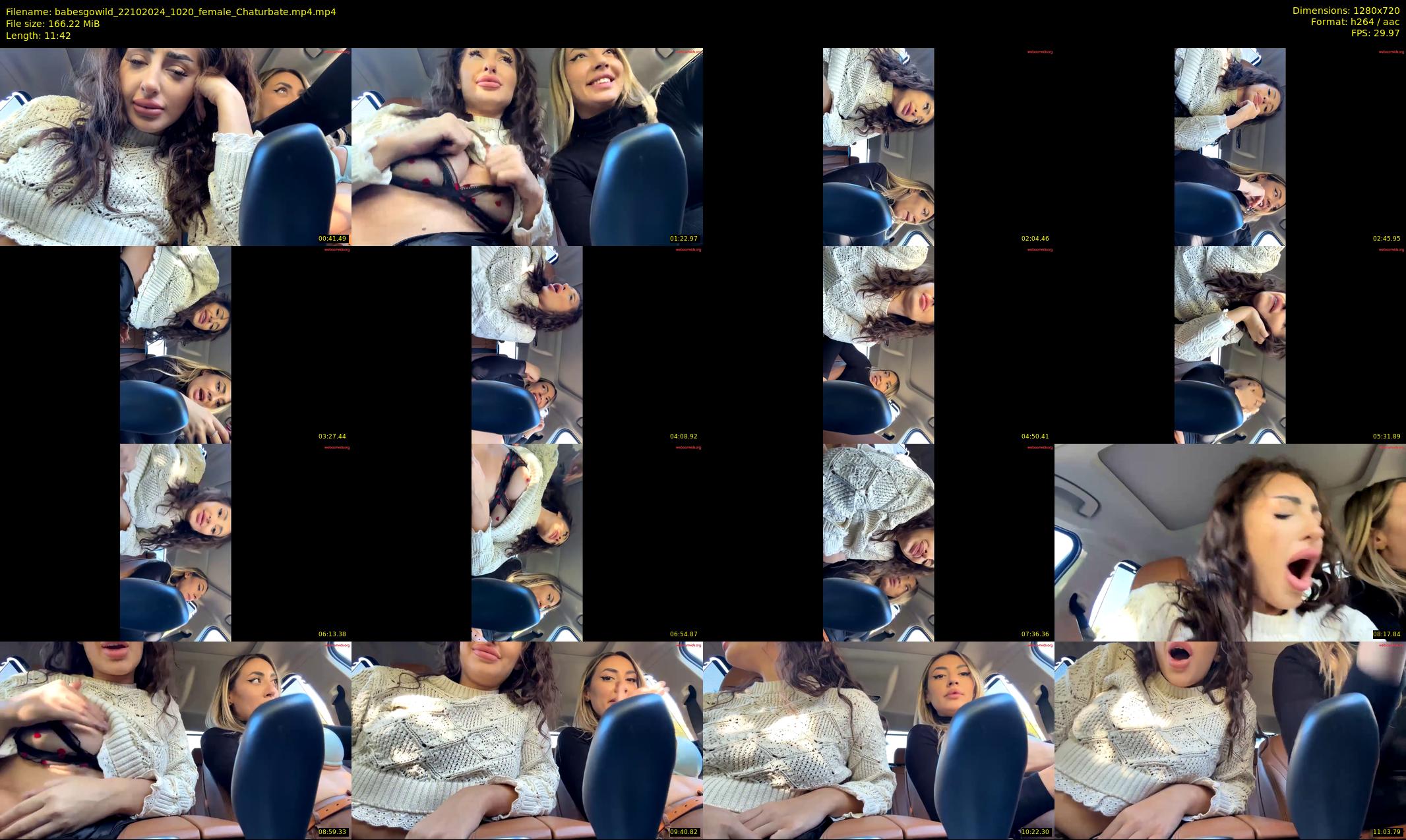babesgowild — 12 minute Chaturbate couple cam show recording, 720p, Oct 22, 2024