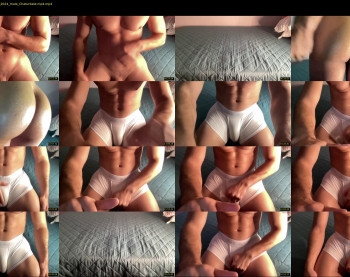 bestdick1991 — 38 minute Chaturbate male cam show recording, 720p, Oct 22, 2024
