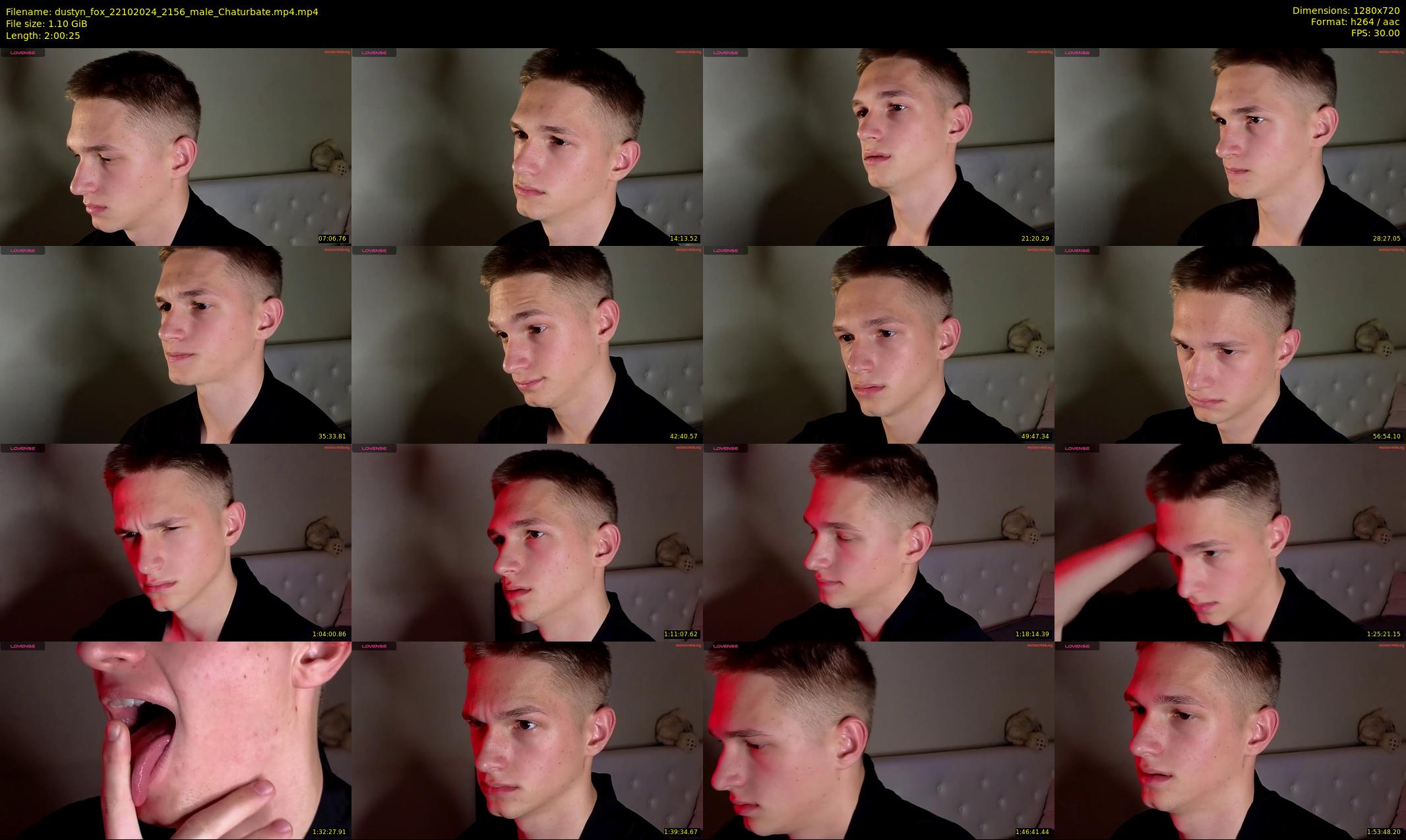 dustyn_fox — 121 minute Chaturbate male cam show recording, 720p, Oct 22, 2024