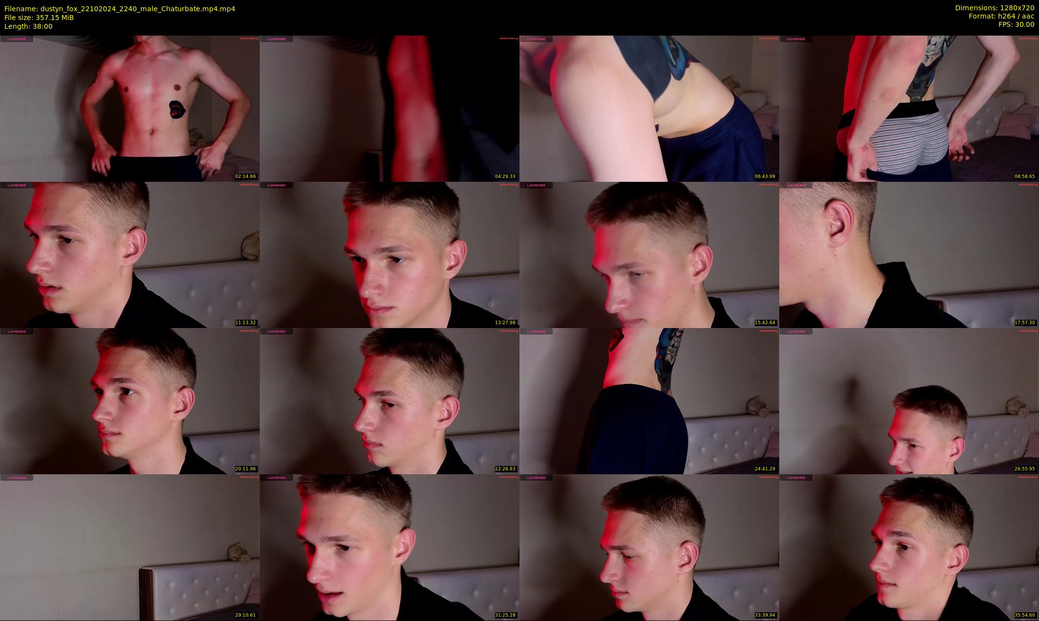 dustyn_fox — 38 minute Chaturbate male cam show recording, 720p, Oct 22, 2024
