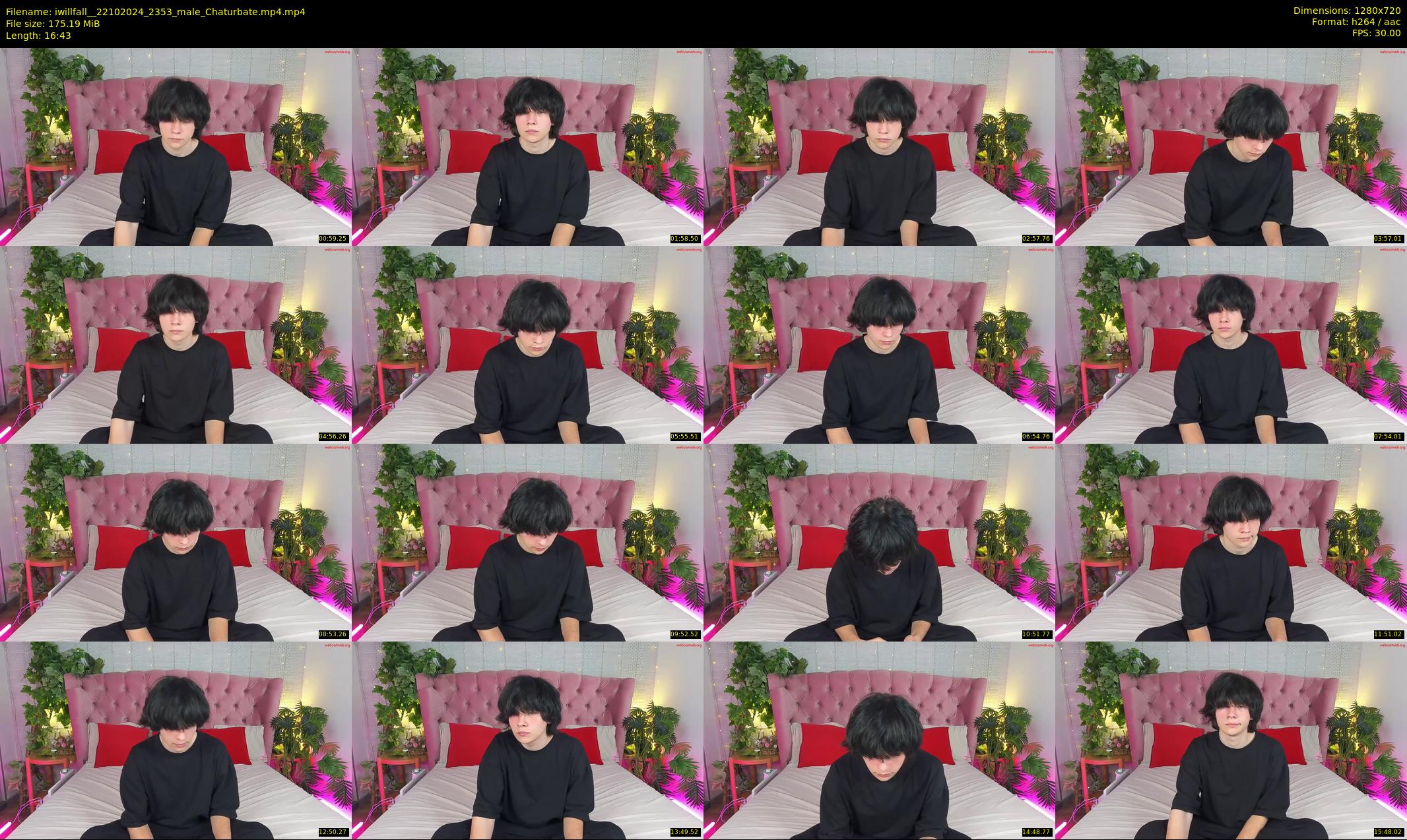 iwillfall_ — 17 minute Chaturbate male cam show recording, 720p, Oct 22, 2024