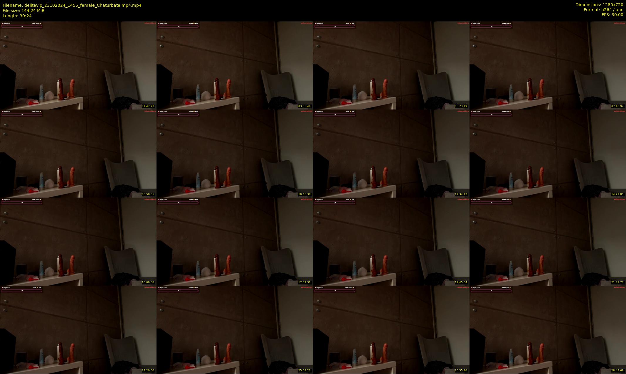 delitevip — 31 minute Chaturbate female cam show recording, 720p, Oct 23, 2024