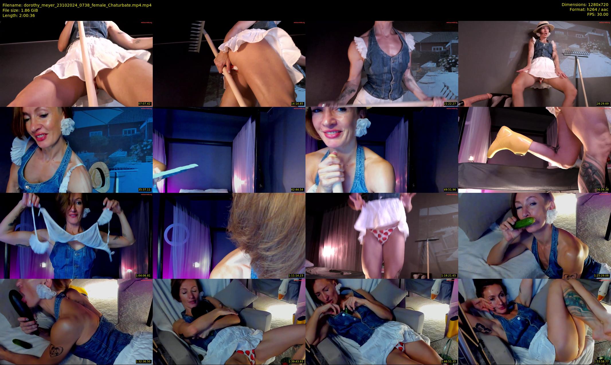 dorothy_meyer — 121 minute Chaturbate female cam show recording, 720p, Oct 23, 2024