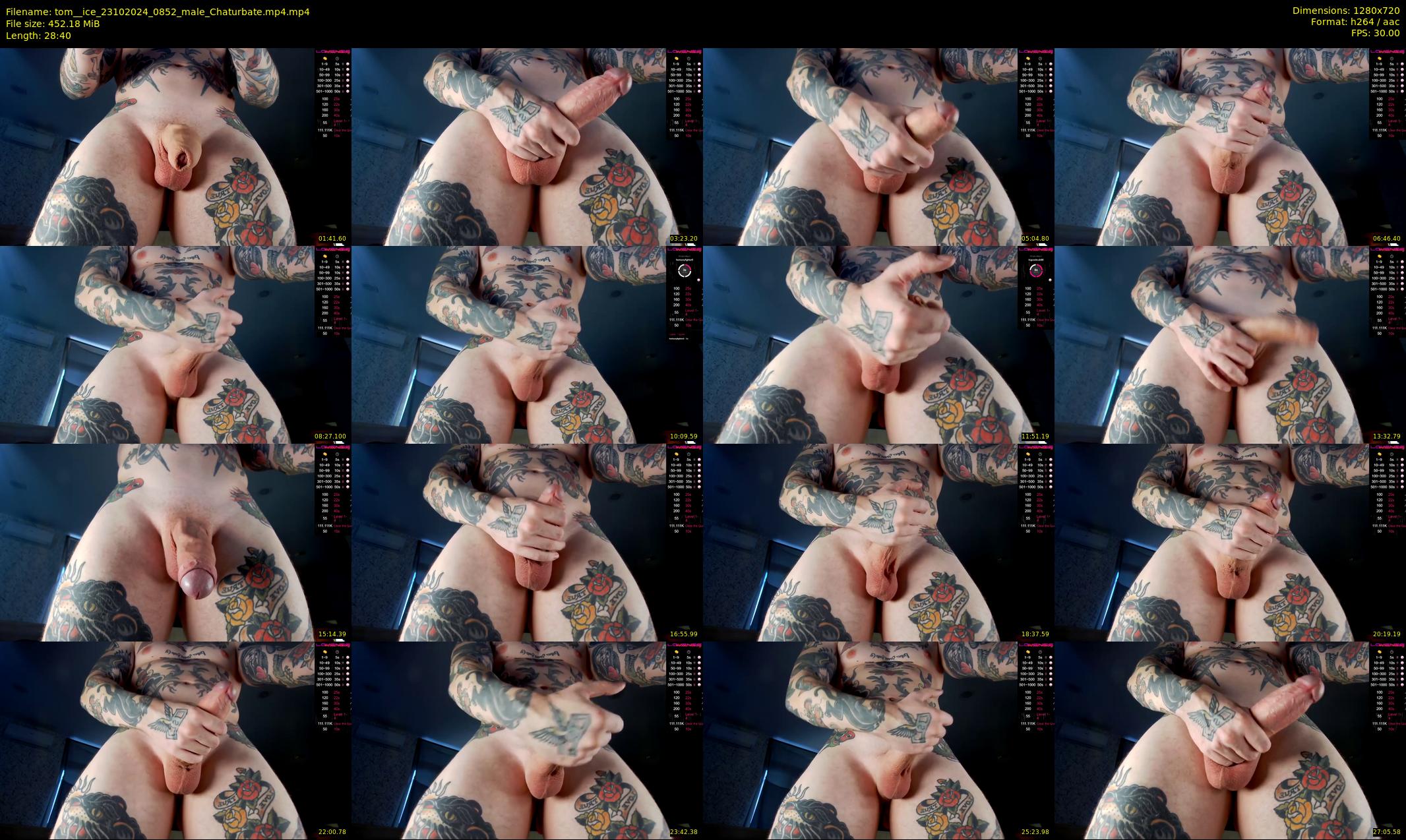 tom__ice — 29 minute Chaturbate male cam show recording, 720p, Oct 23, 2024
