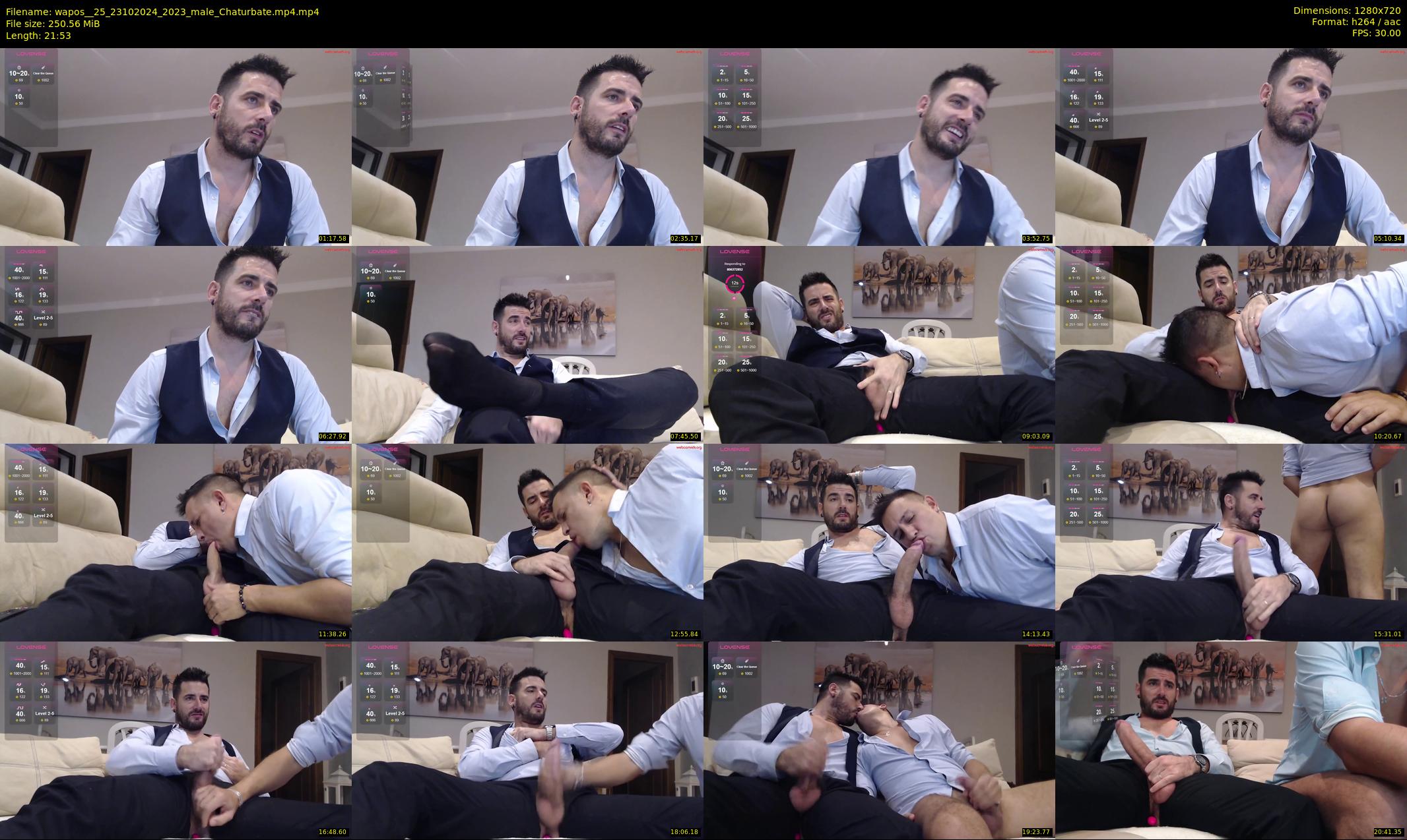 wapos__25 — 22 minute Chaturbate male cam show recording, 720p, Oct 23, 2024