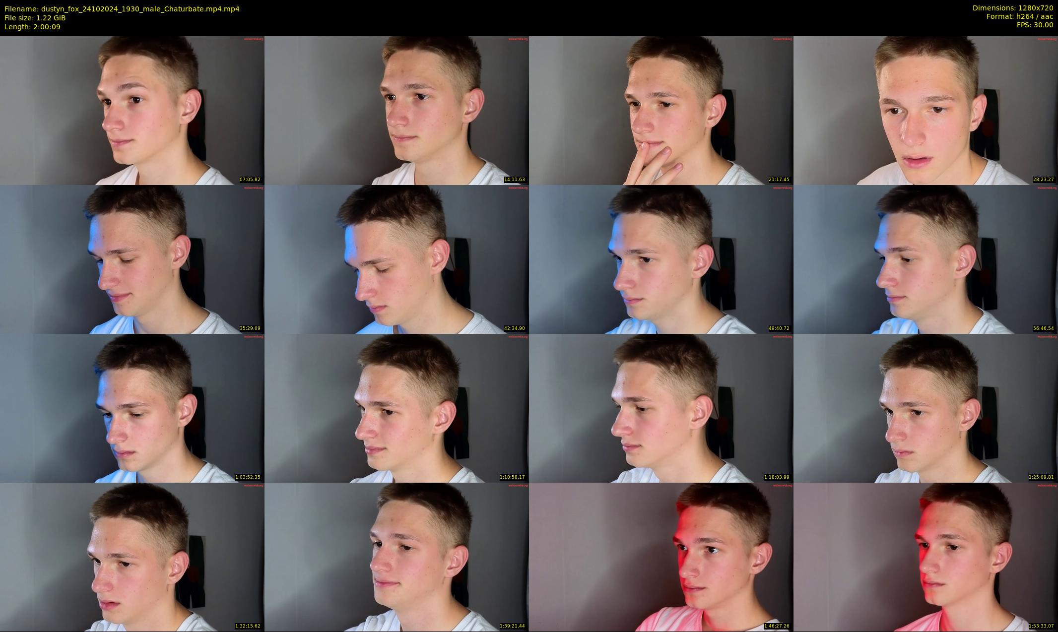 dustyn_fox — 121 minute Chaturbate male cam show recording, 720p, Oct 24, 2024