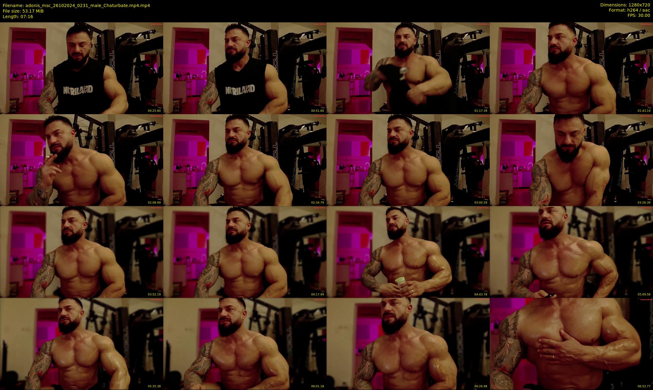 adonis_msc — 8 minute Chaturbate male cam show recording, 720p, Oct 26, 2024