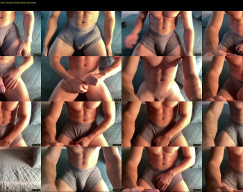 bestdick1991 — 120 minute Chaturbate male cam show recording, 720p, Oct 25, 2024