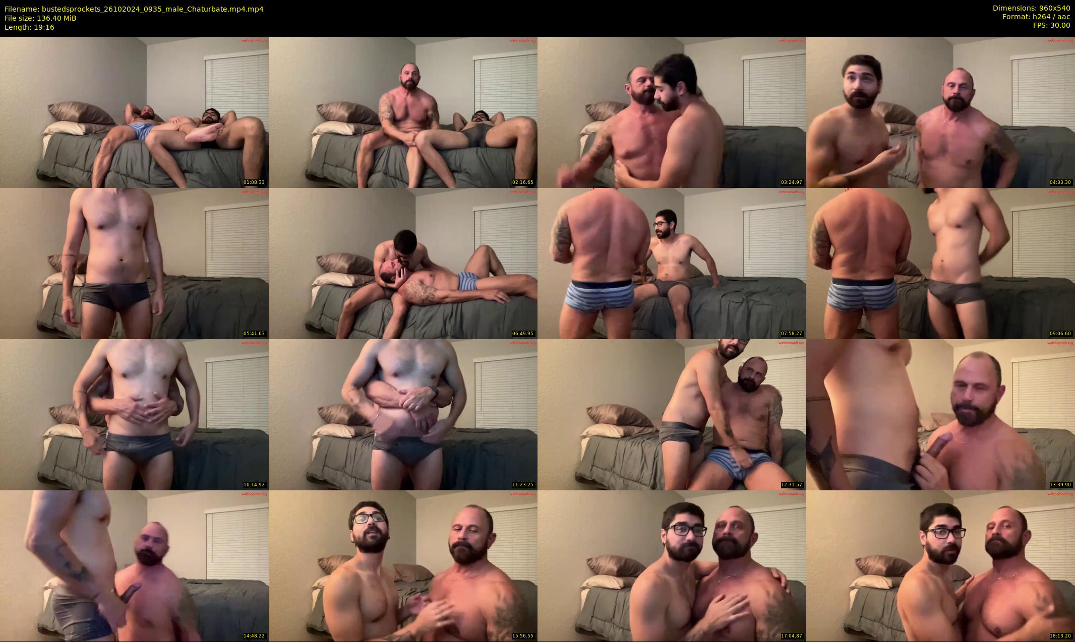 bustedsprockets — 20 minute Chaturbate male cam show recording, 480p, Oct 26, 2024