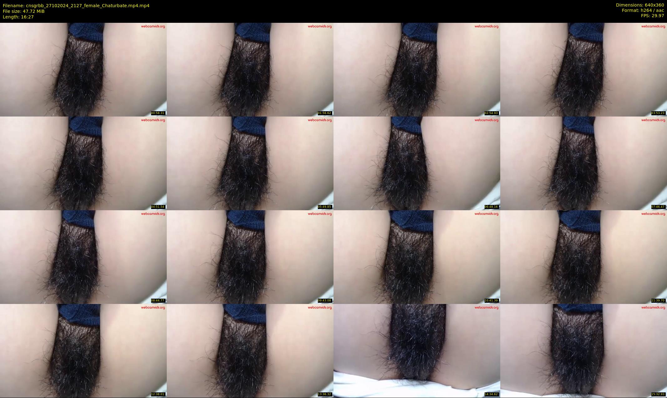 cnsgrbb — 17 minute Chaturbate female cam show recording, 360p, Oct 27, 2024