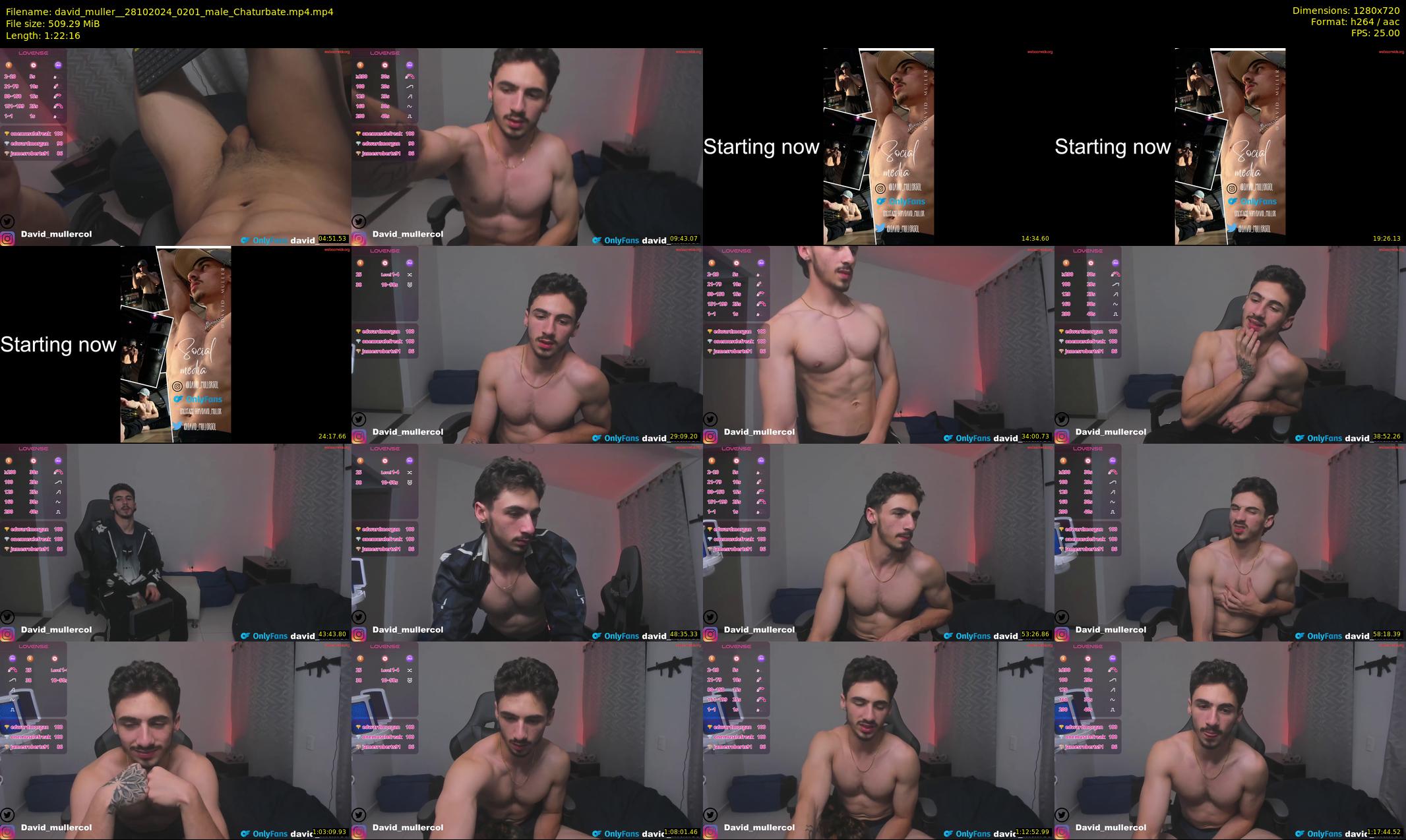 david_muller_ — 83 minute Chaturbate male cam show recording, 720p, Oct 28, 2024