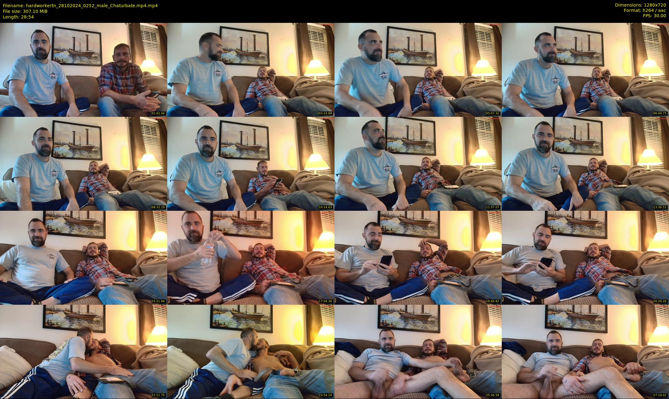 hardworkertn — 29 minute Chaturbate male cam show recording, 720p, Oct 28, 2024