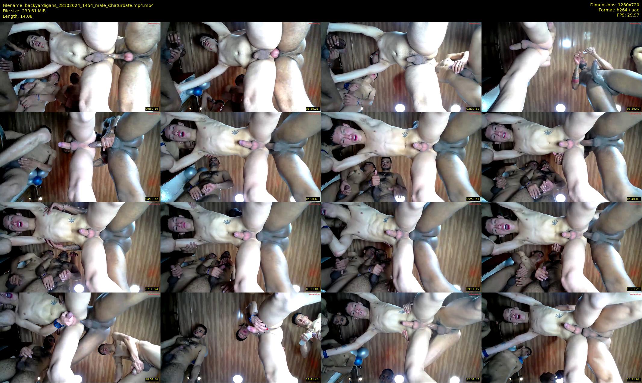 backyardigans — 15 minute Chaturbate male cam show recording, 720p, Oct 28, 2024