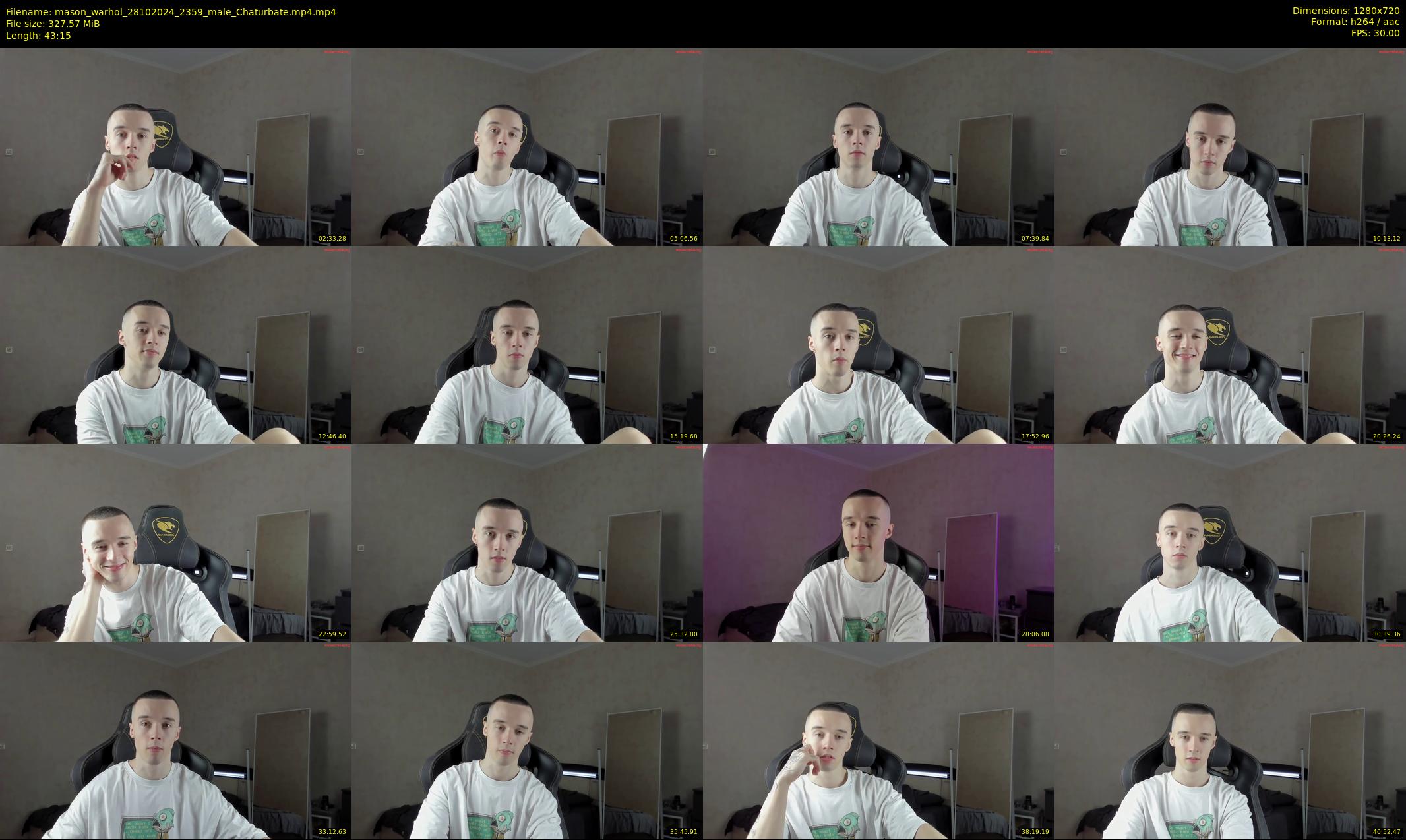mason_warhol — 44 minute Chaturbate male cam show recording, 720p, Oct 28, 2024
