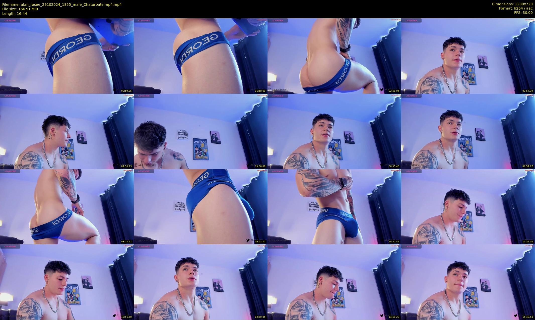 alan_rosee — 17 minute Chaturbate male cam show recording, 720p, Oct 29, 2024
