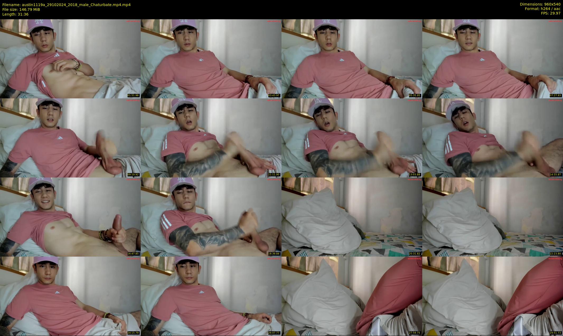austin1119a — 32 minute Chaturbate male cam show recording, 480p, Oct 29, 2024