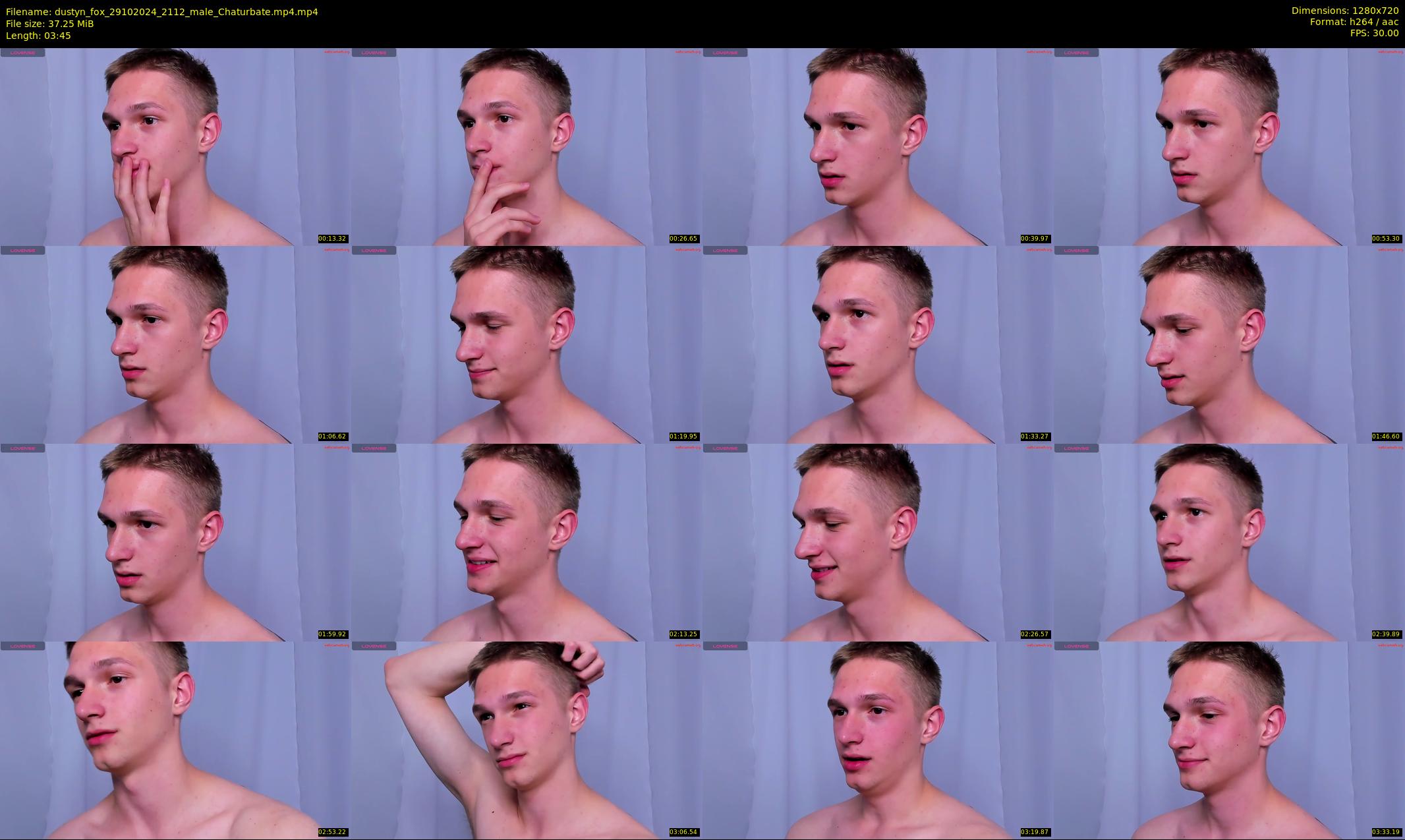 dustyn_fox — 4 minute Chaturbate male cam show recording, 720p, Oct 29, 2024