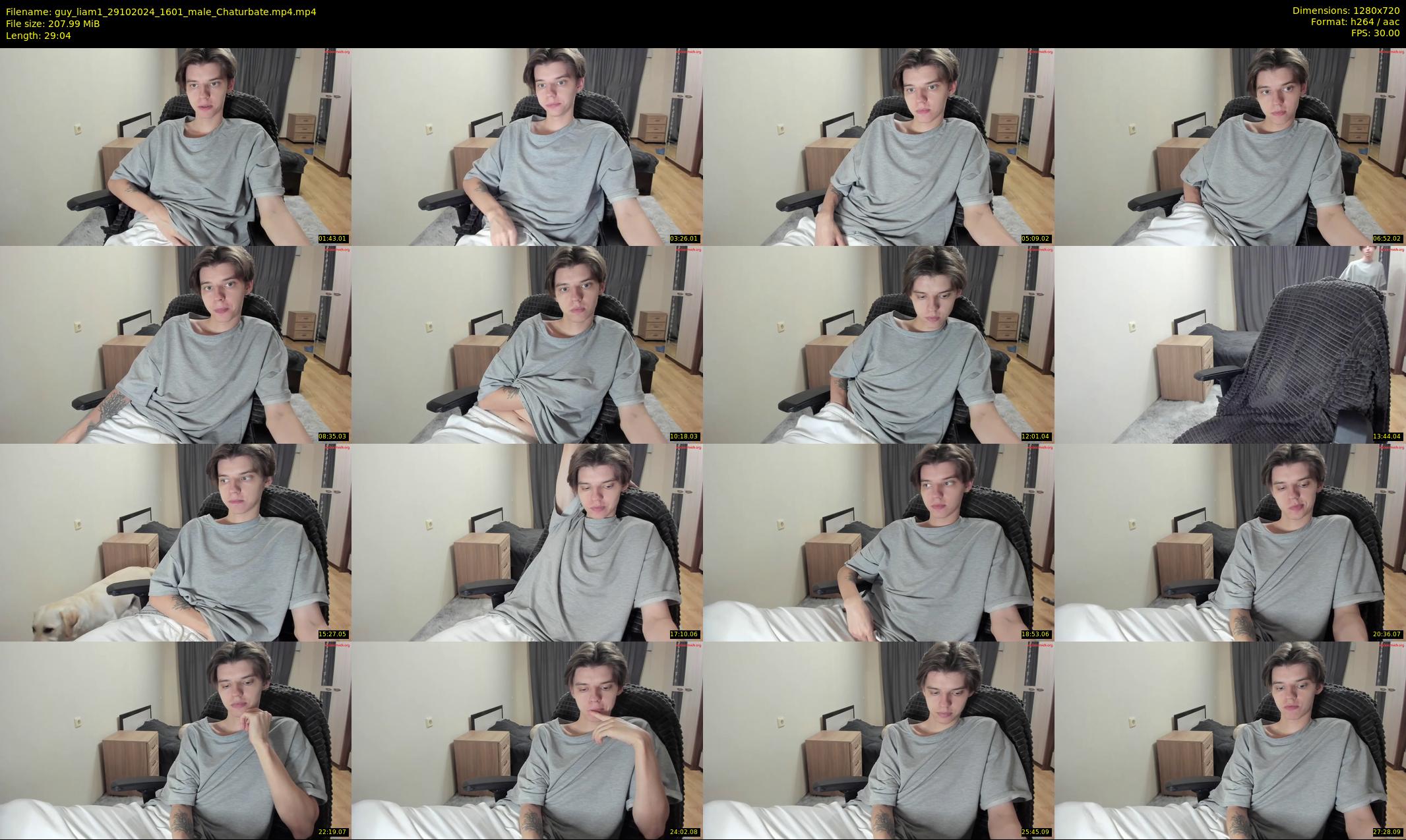 guy_liam1 — 30 minute Chaturbate male cam show recording, 720p, Oct 29, 2024