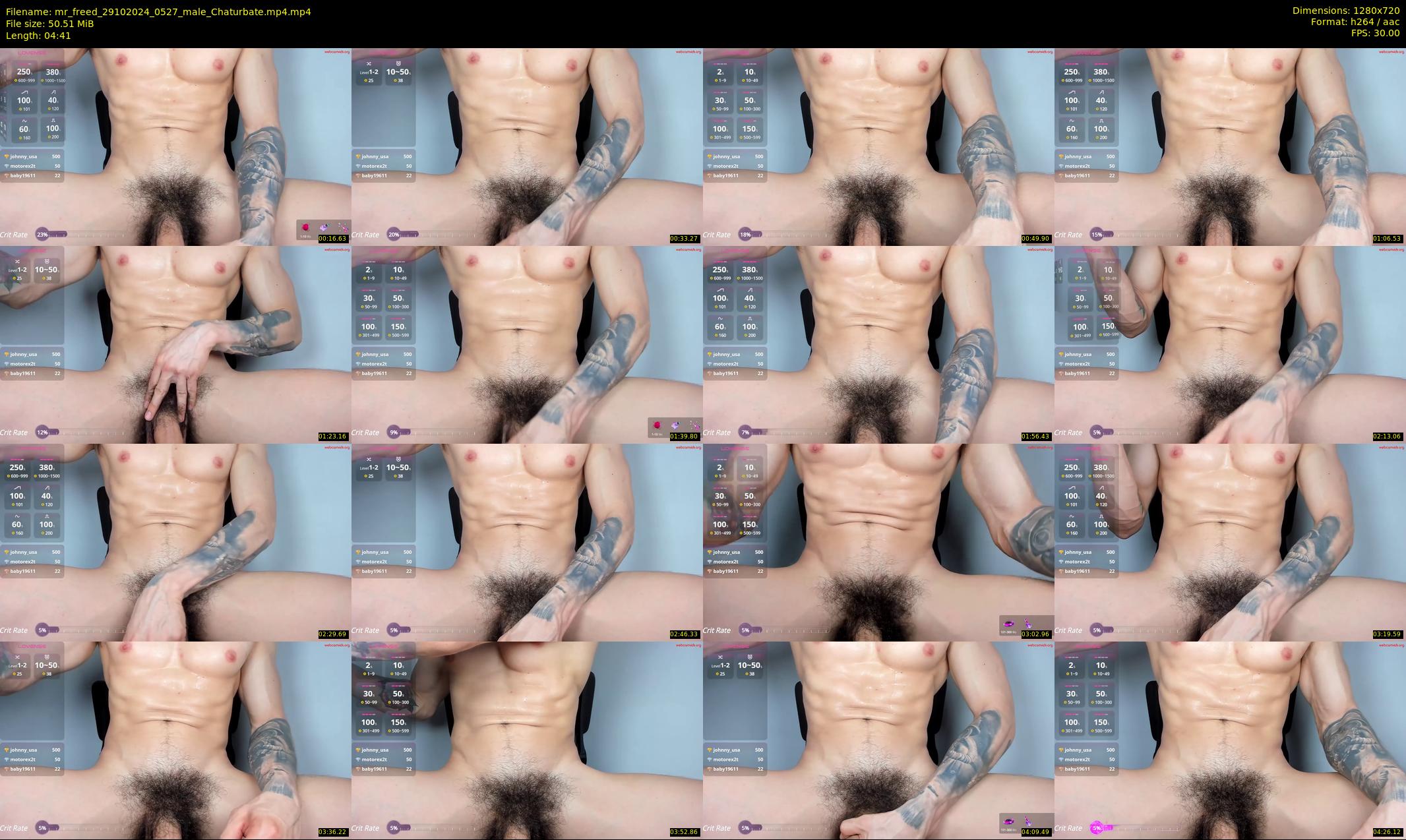mr_freed — 5 minute Chaturbate male cam show recording, 720p, Oct 29, 2024